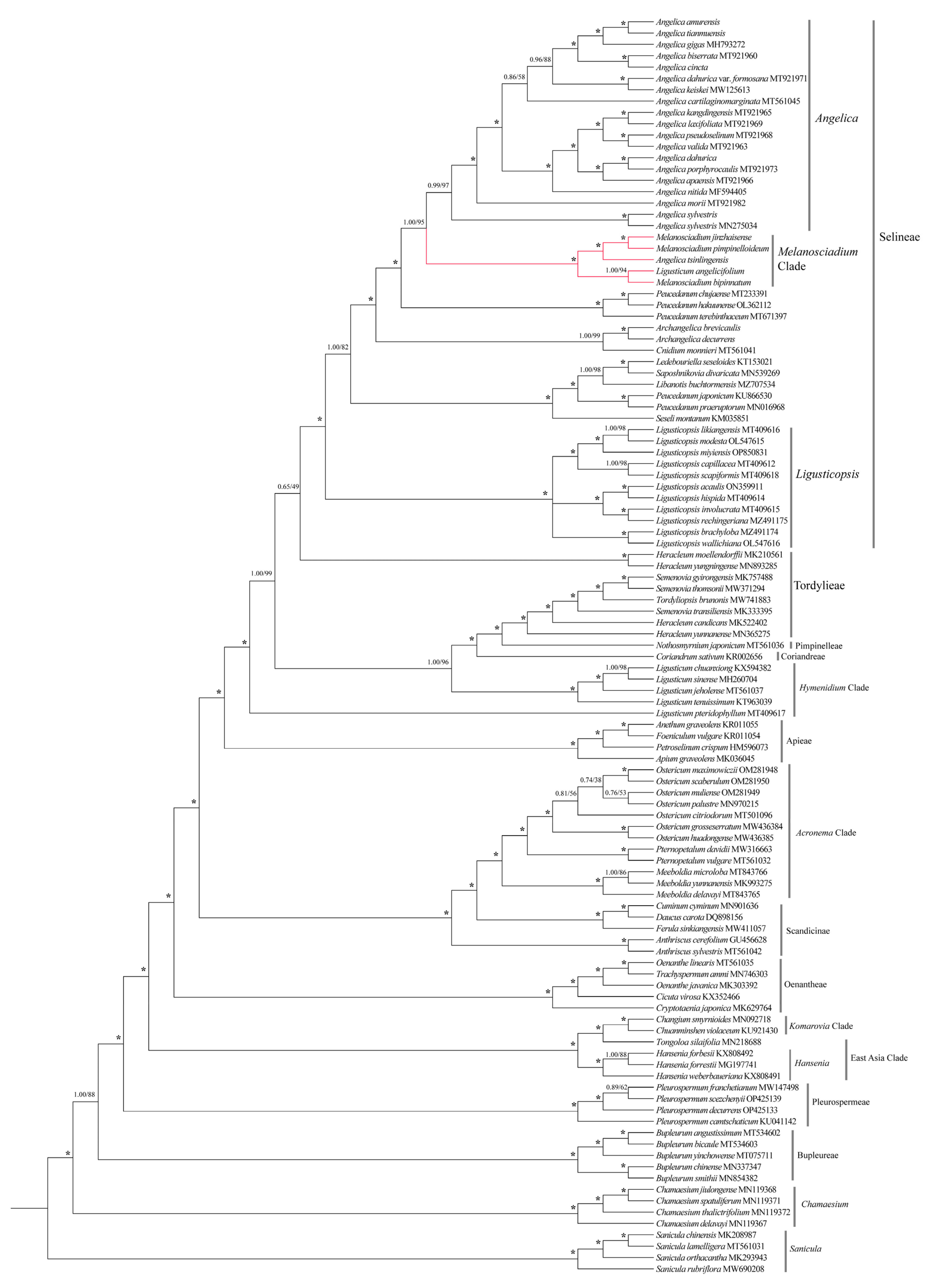 Plants 13 00907 g008