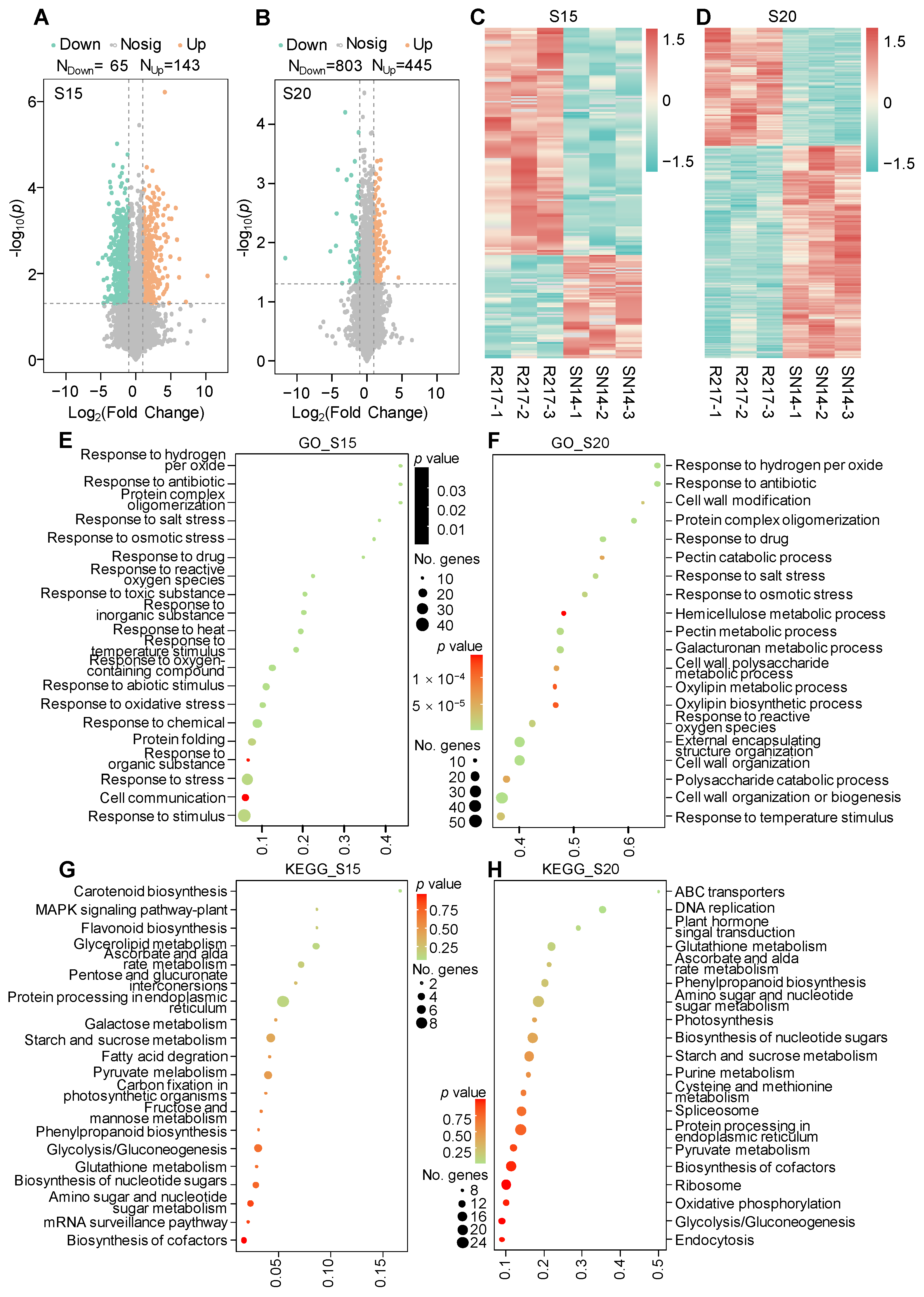 Plants 13 00908 g003