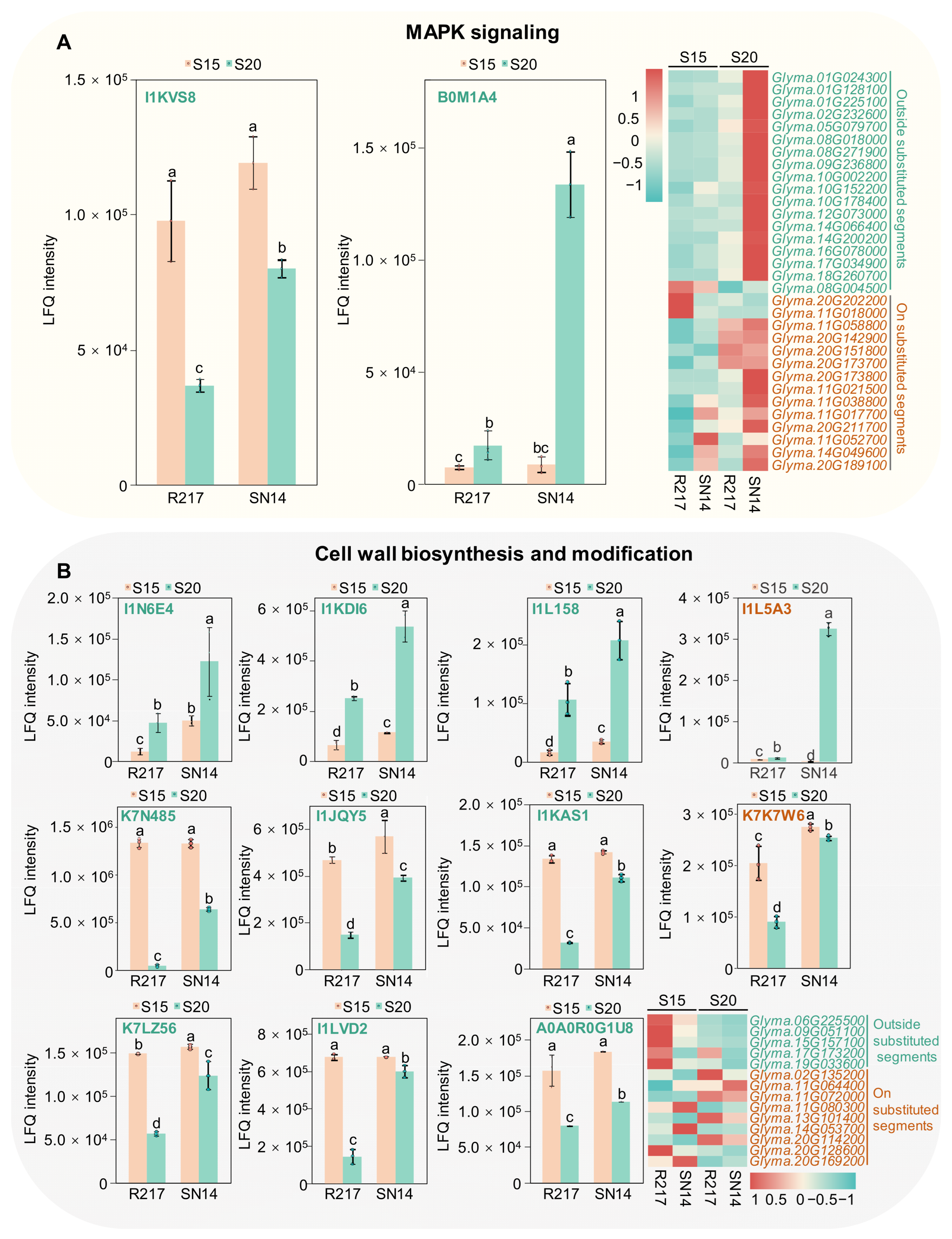 Plants 13 00908 g005