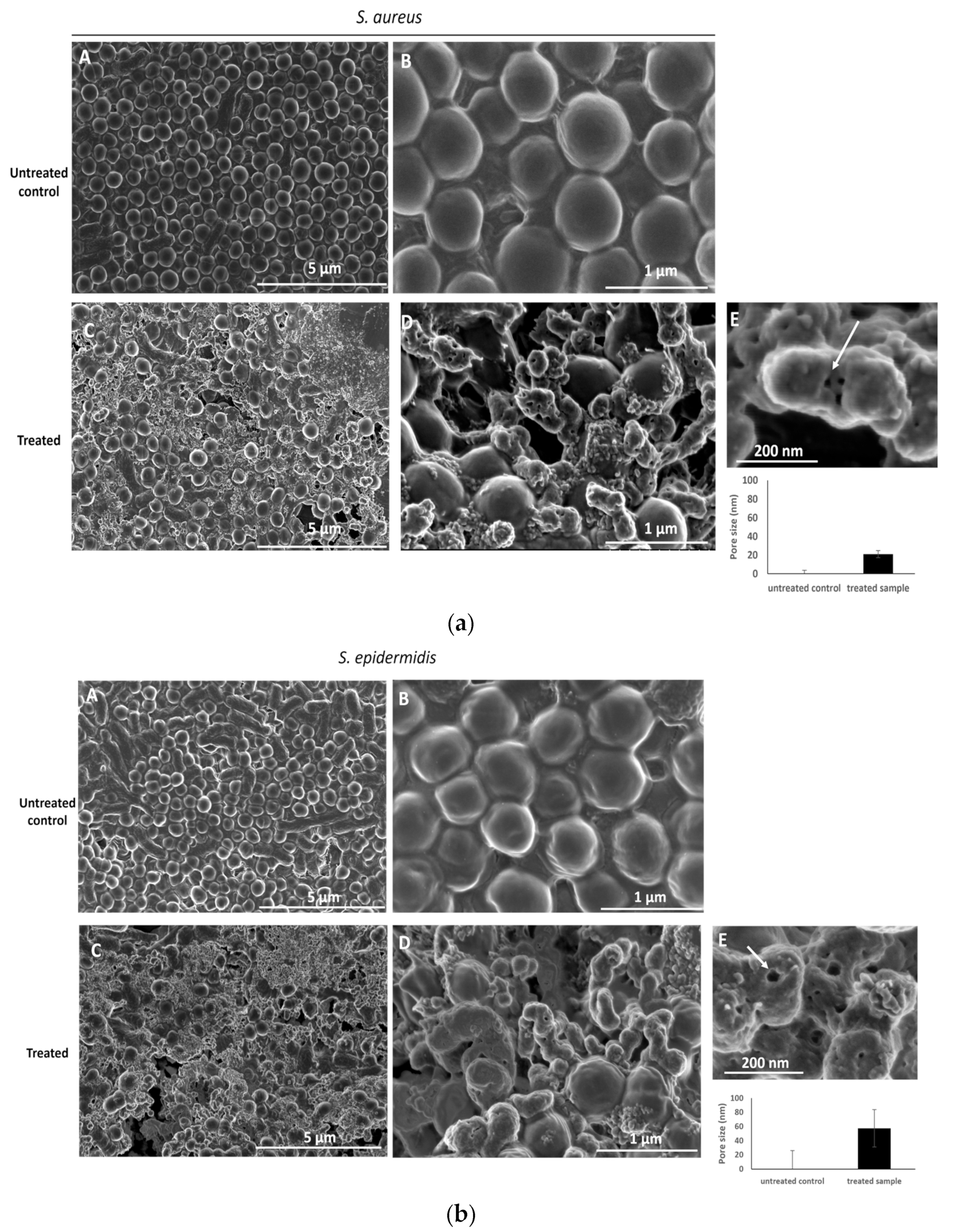 Plants 13 00909 g004