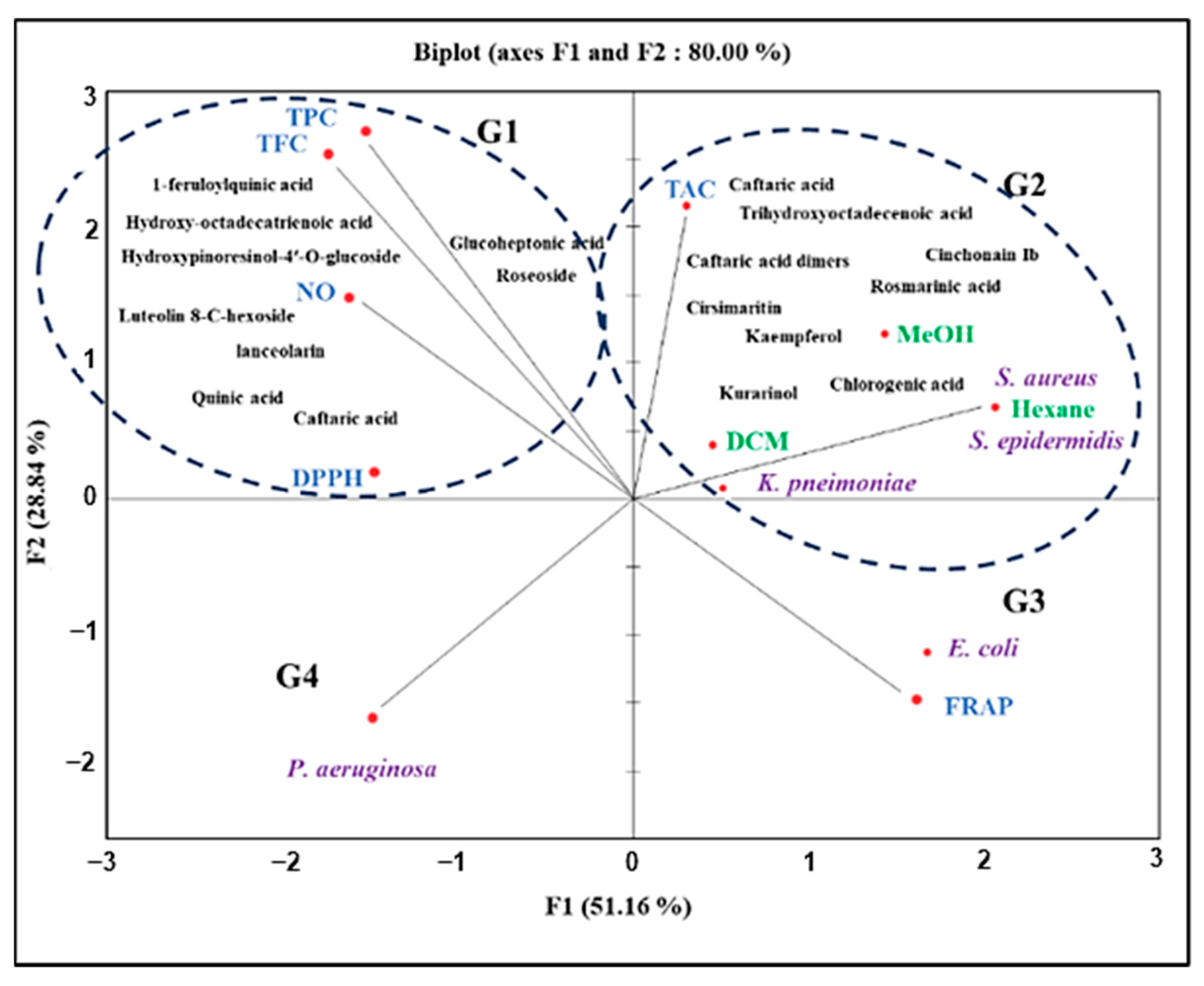 Plants 13 00909 g006