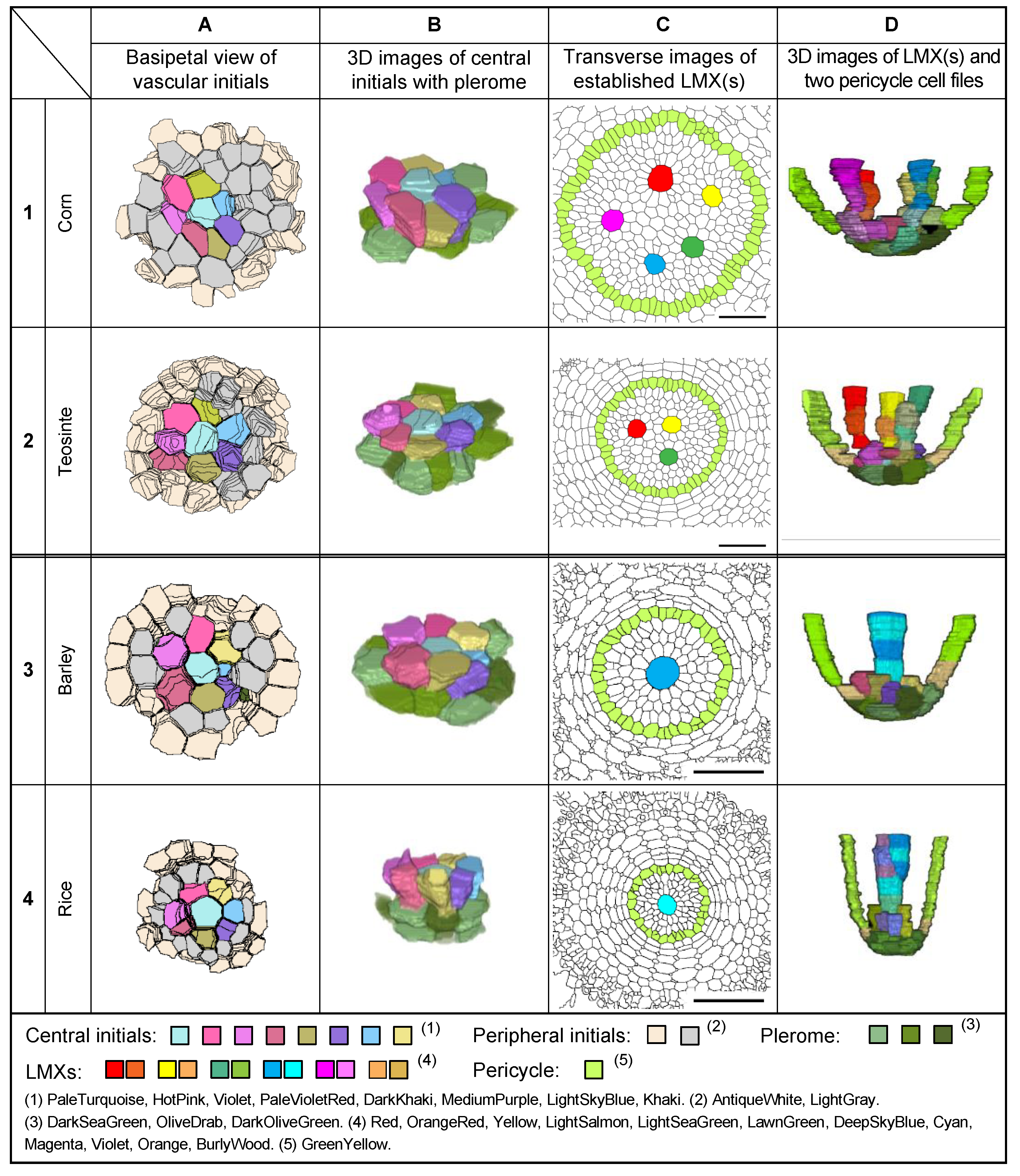 Plants 13 00910 g009 Plants 13 00910 g009