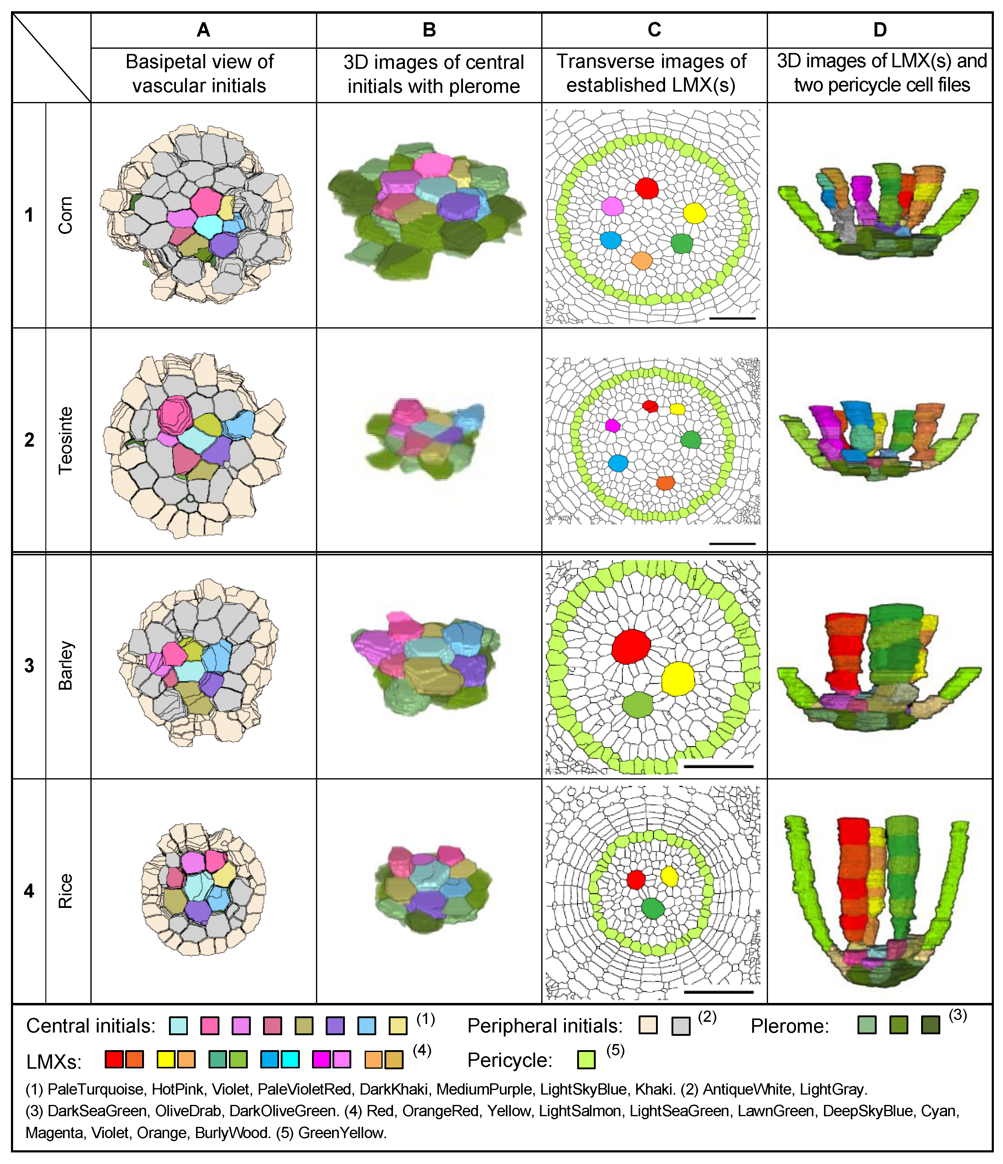 Plants 13 00910 g010 Plants 13 00910 g010