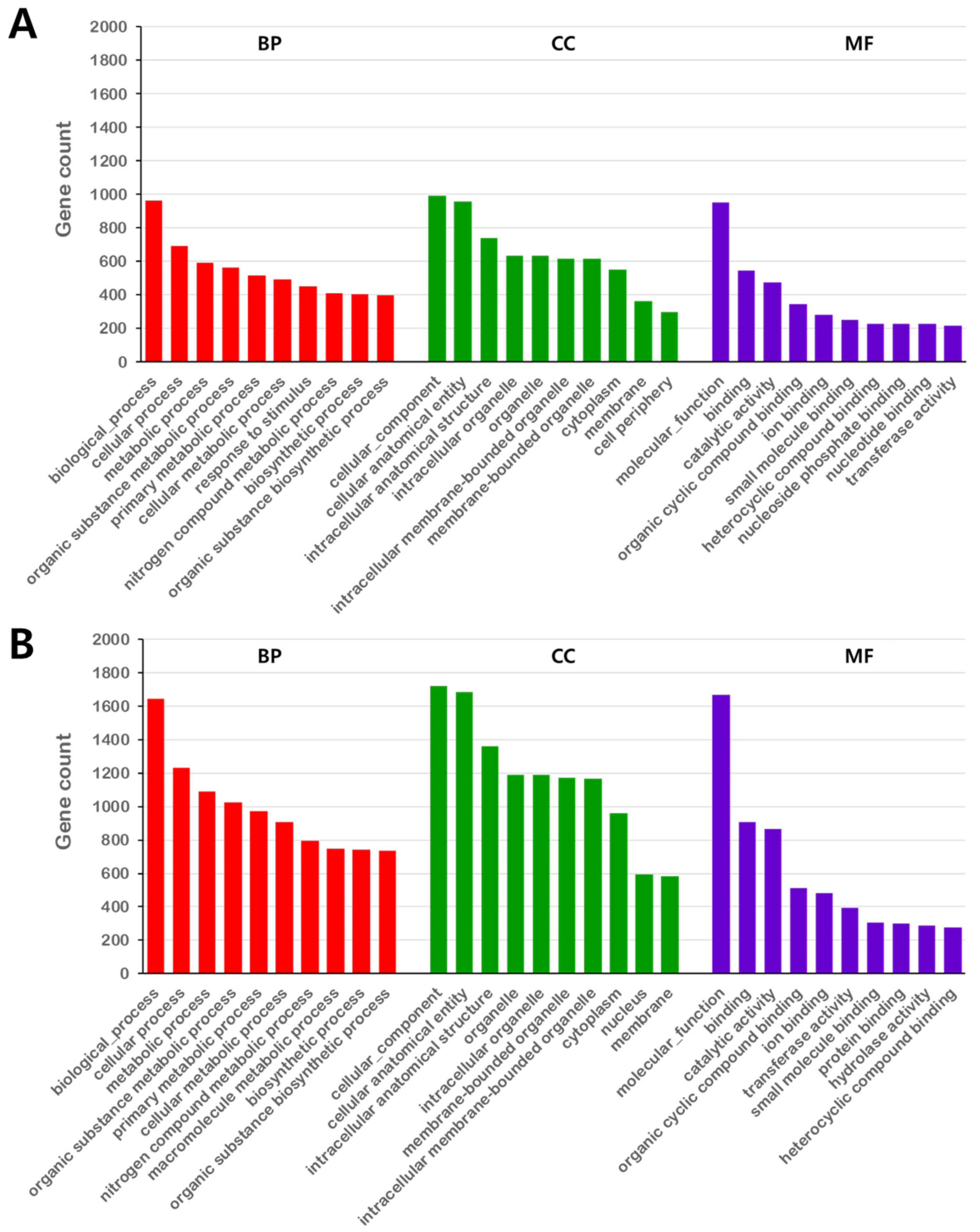 Plants 13 00911 g002