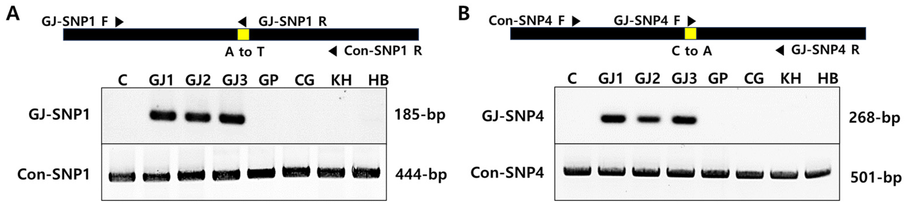 Plants 13 00911 g003