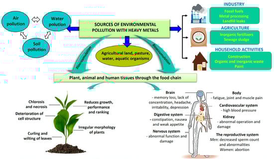 Plants 13 00913 g002
