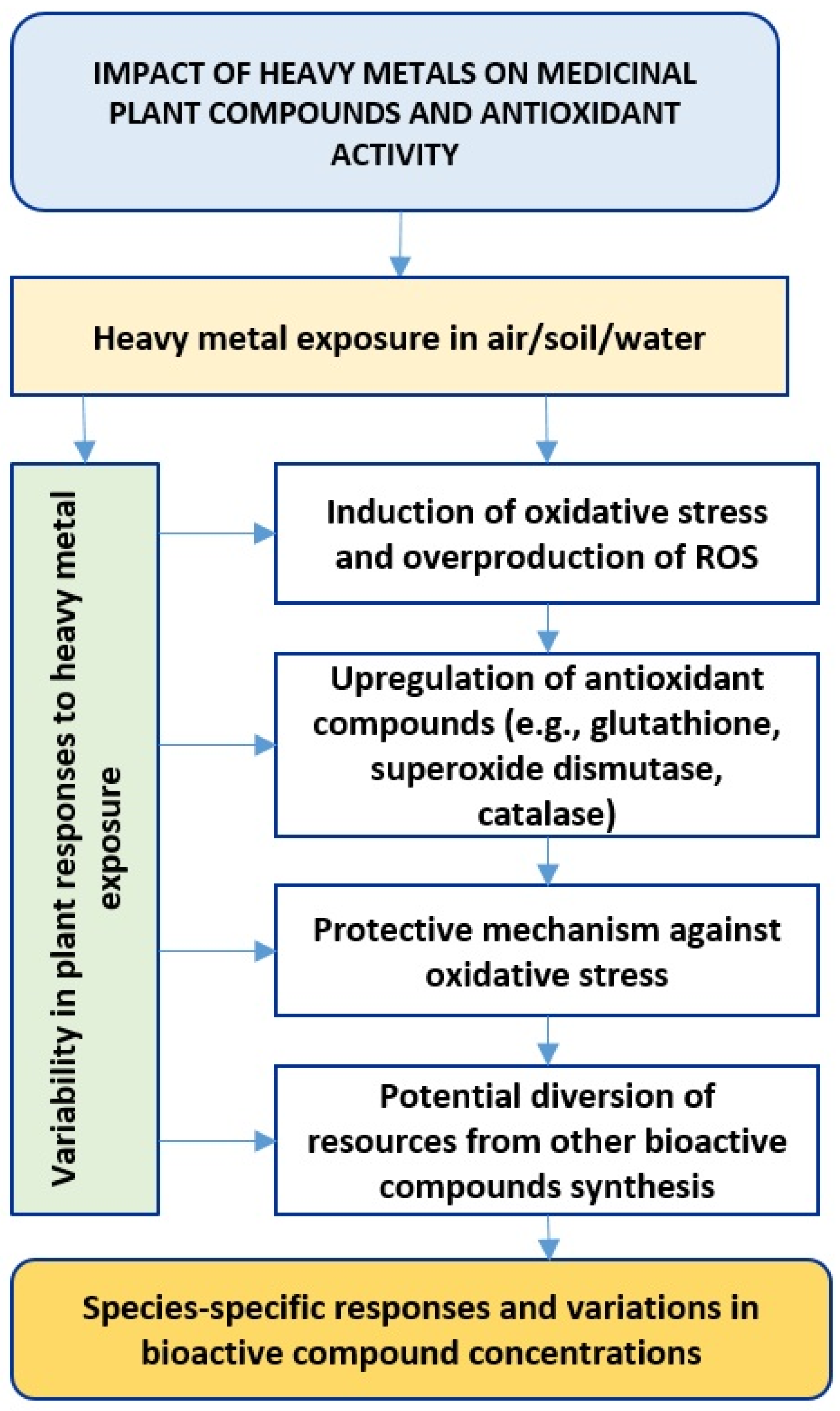 Plants 13 00913 g003
