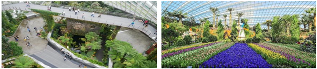 Plants 13 00923 i006