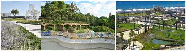 Plants 13 00923 i009