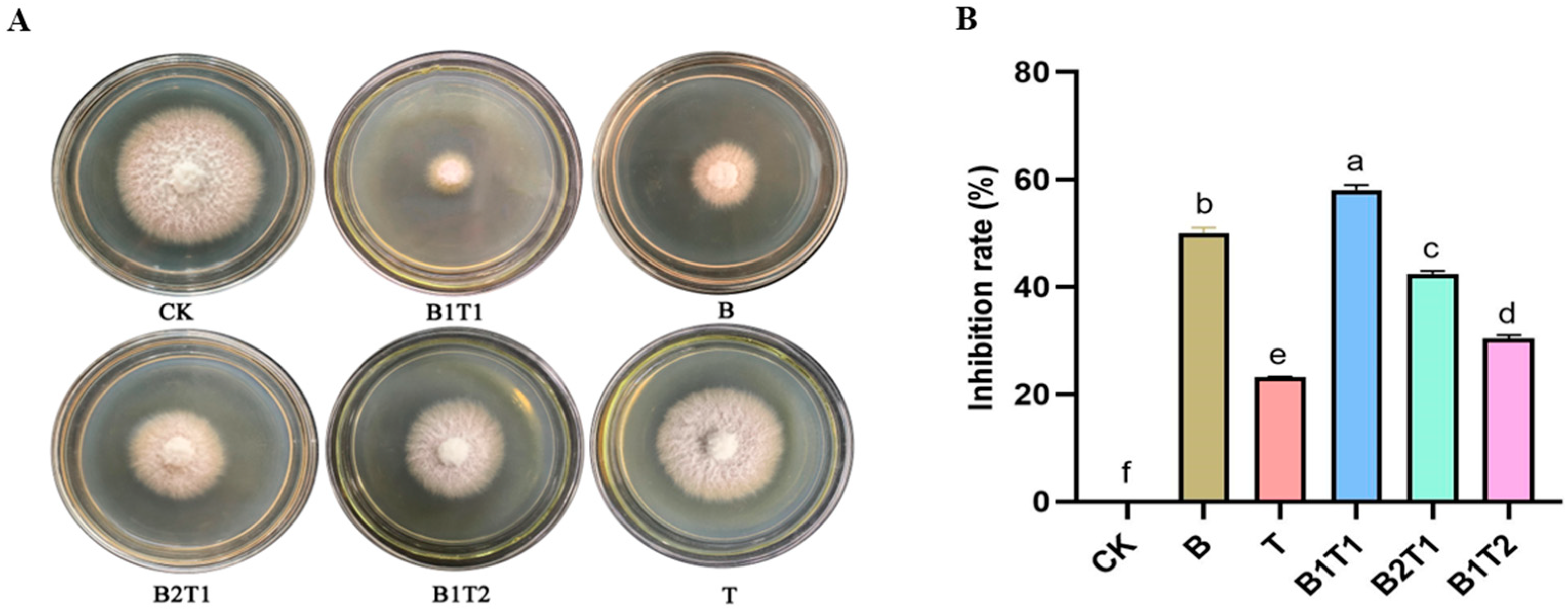 Plants 13 00925 g001