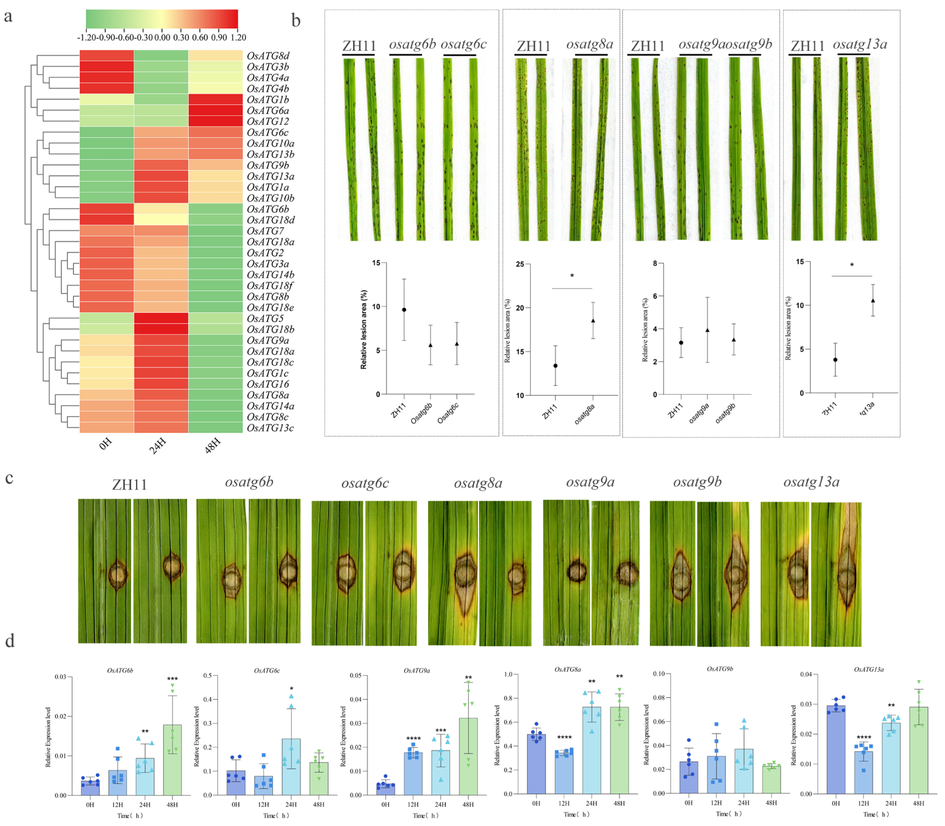 Plants 13 00927 g005