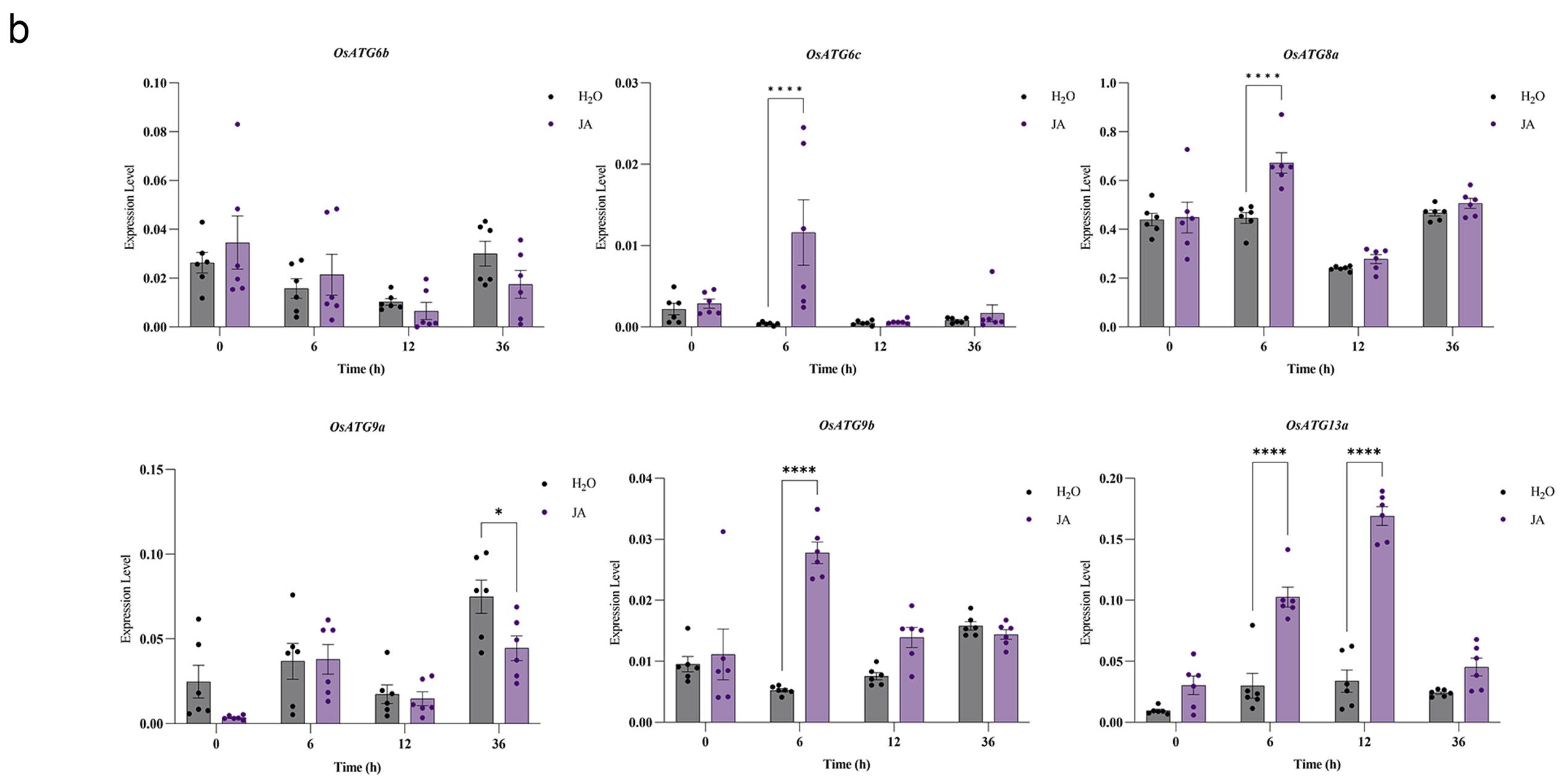 Plants 13 00927 g006b