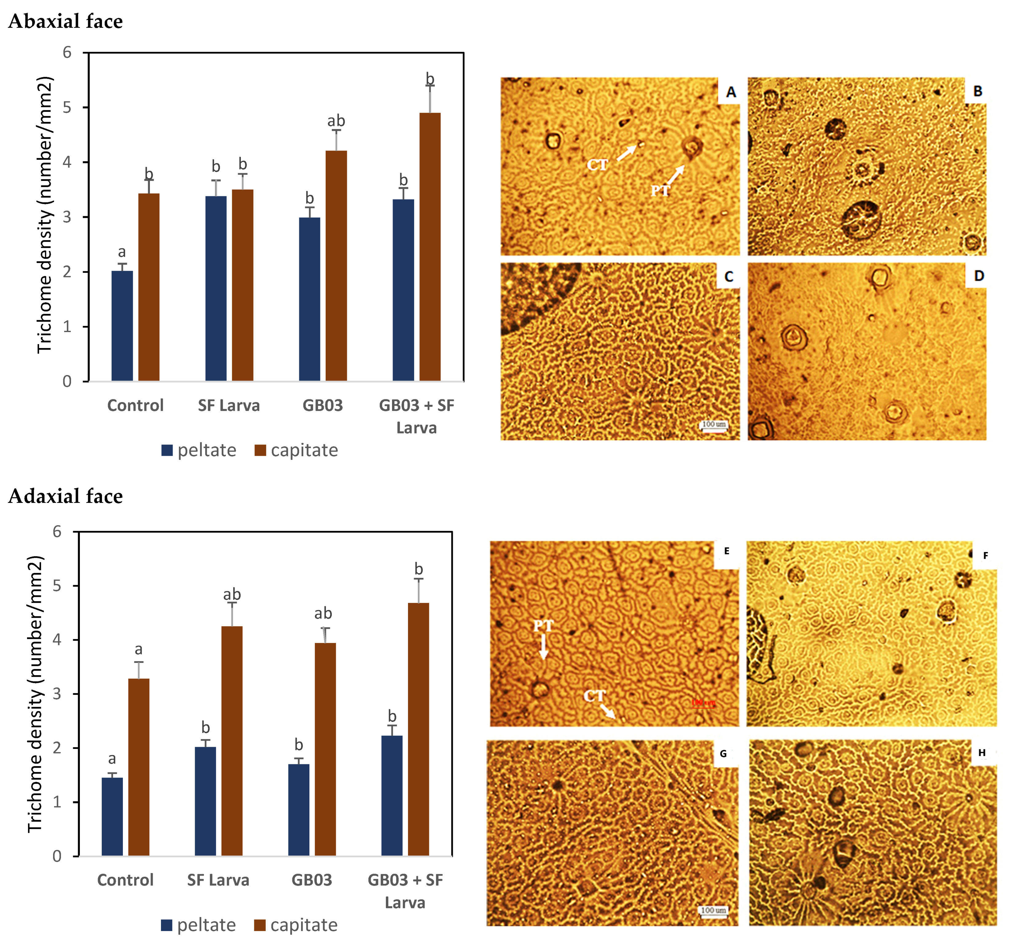 Plants 13 00932 g006