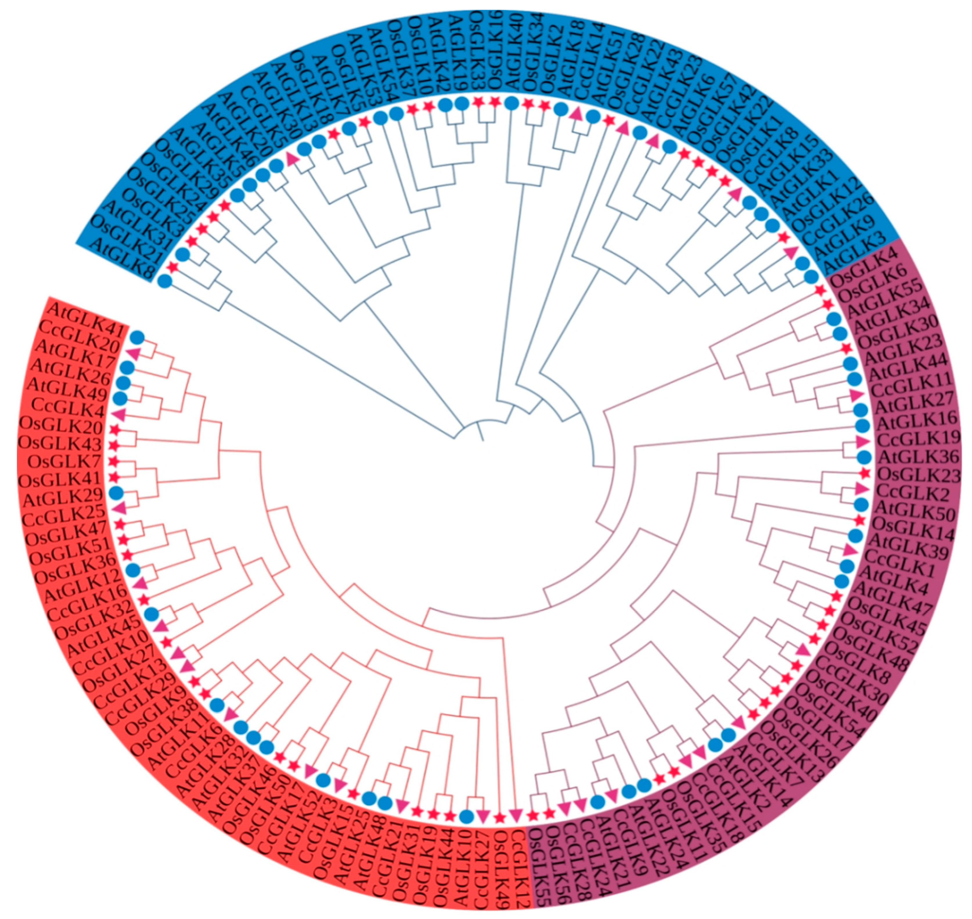 Plants 13 00936 g004