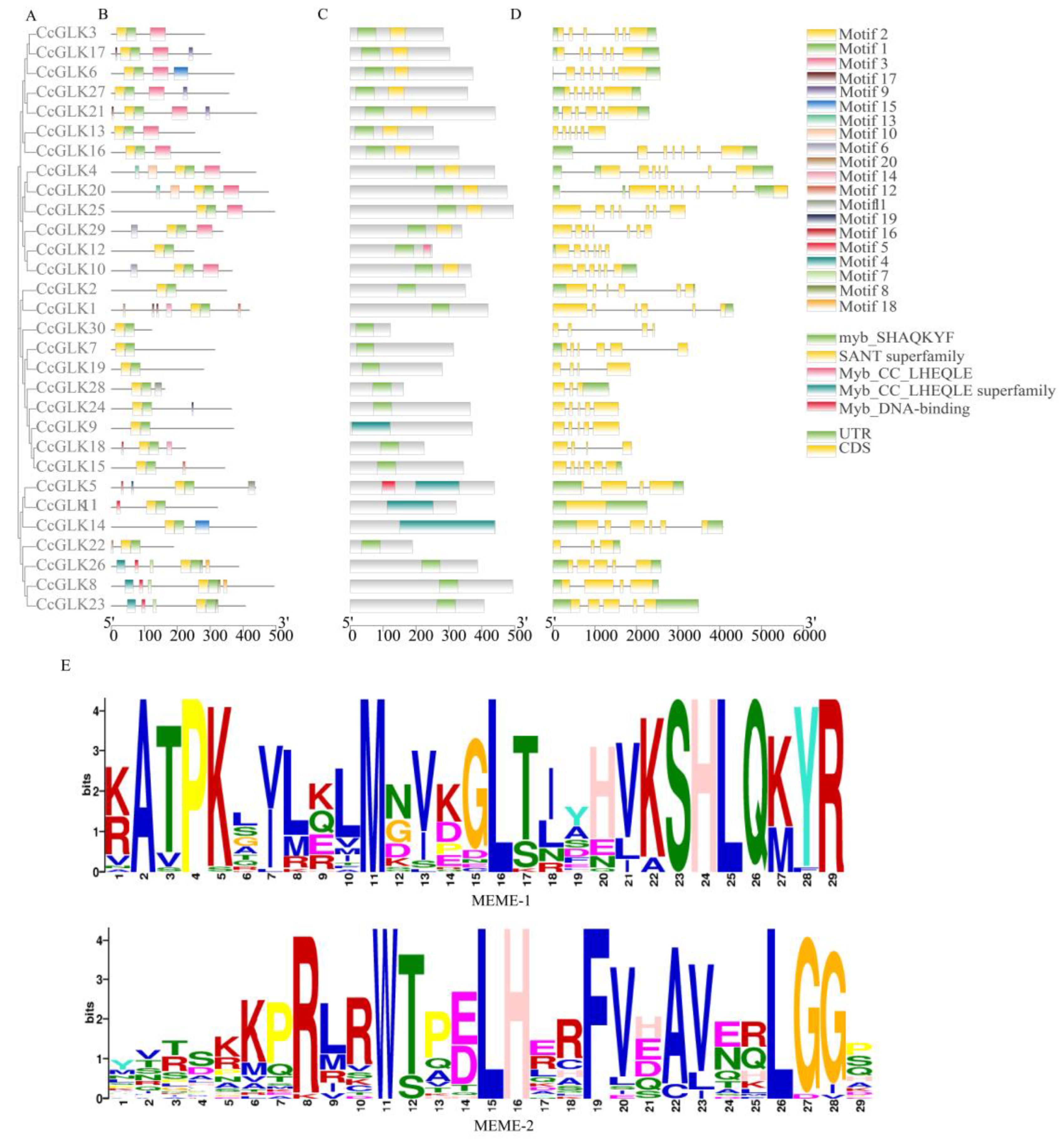Plants 13 00936 g005