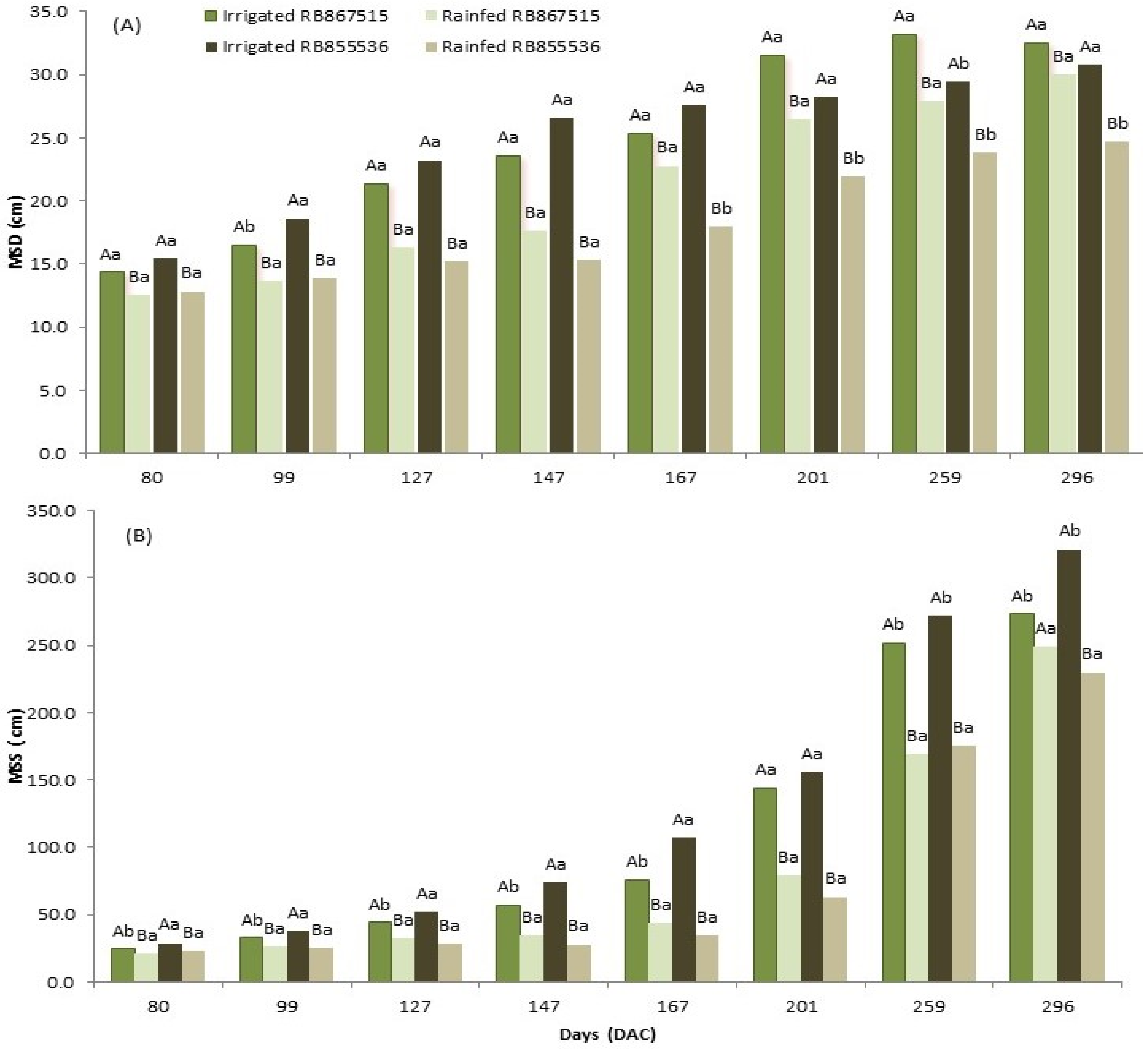 Plants 13 00937 g001