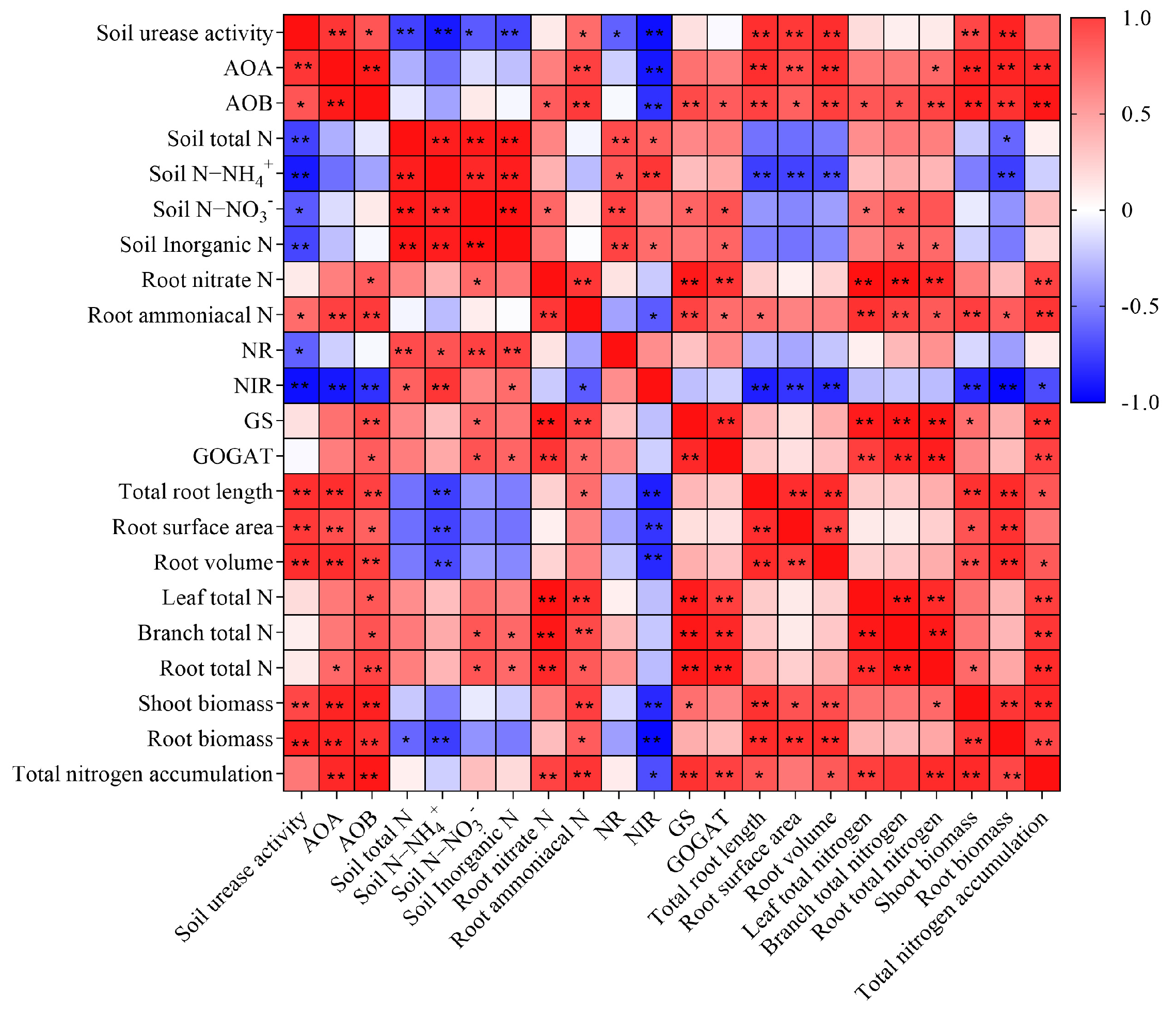 Plants 13 00938 g006