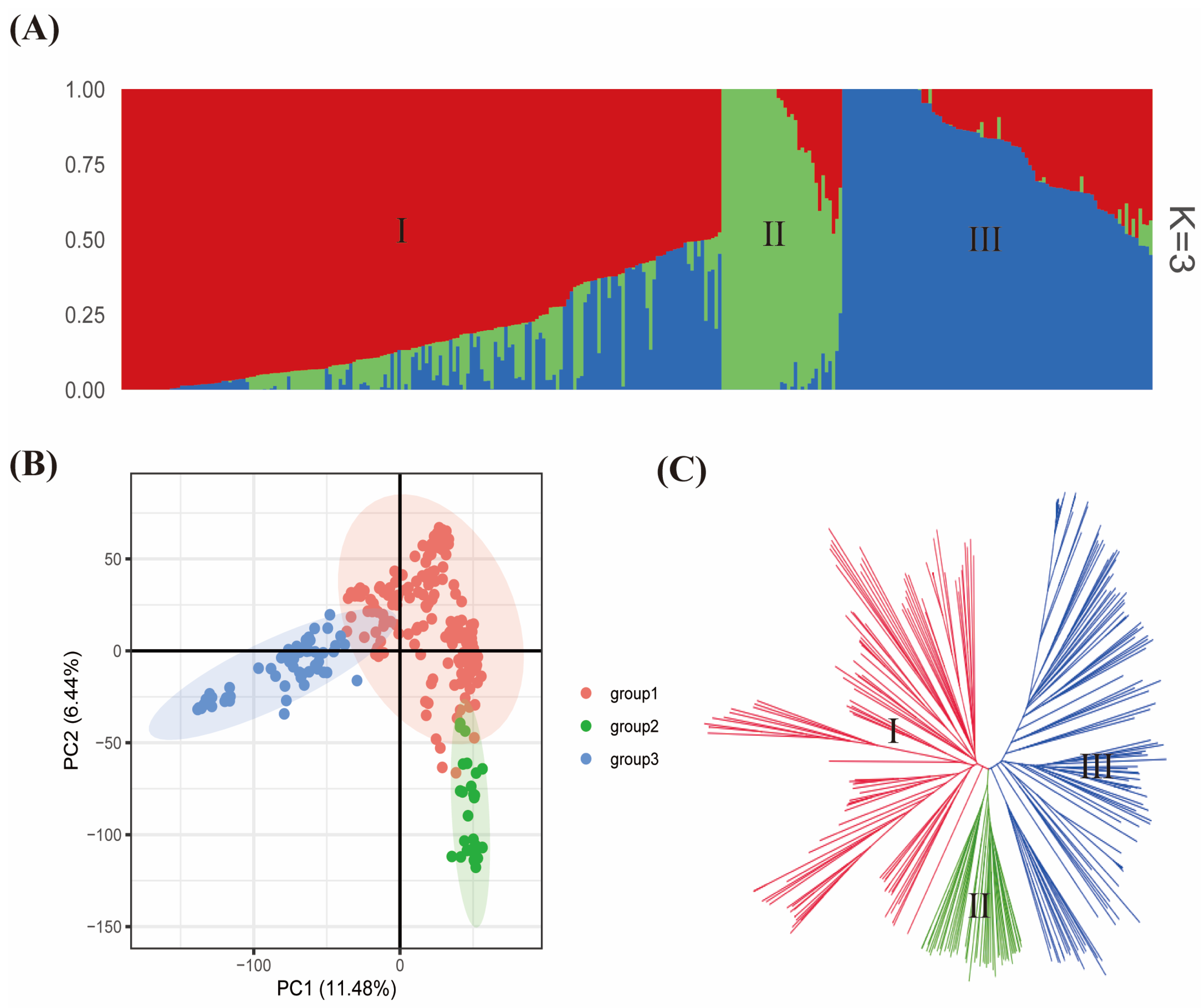 Plants 13 00940 g003