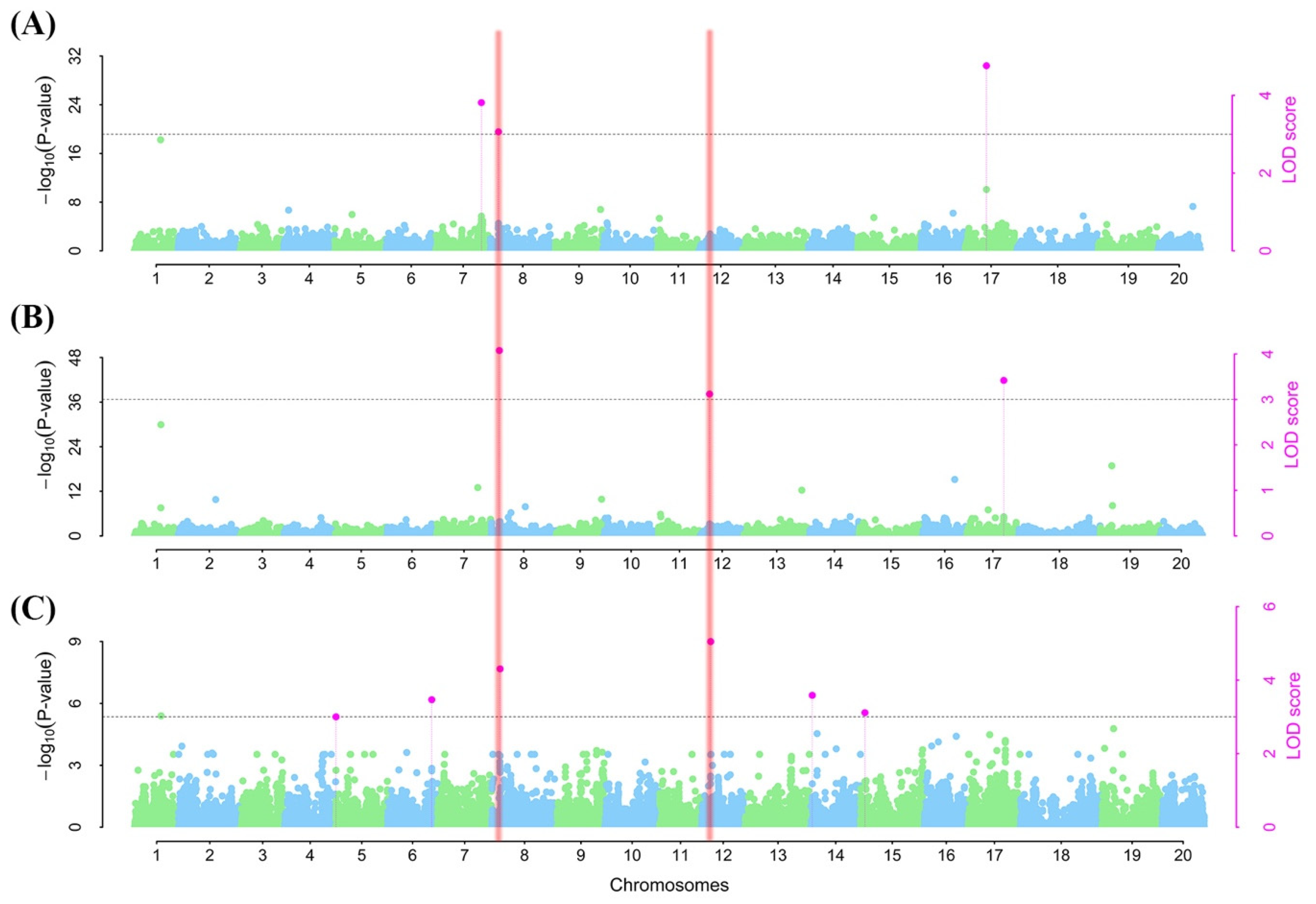 Plants 13 00940 g005