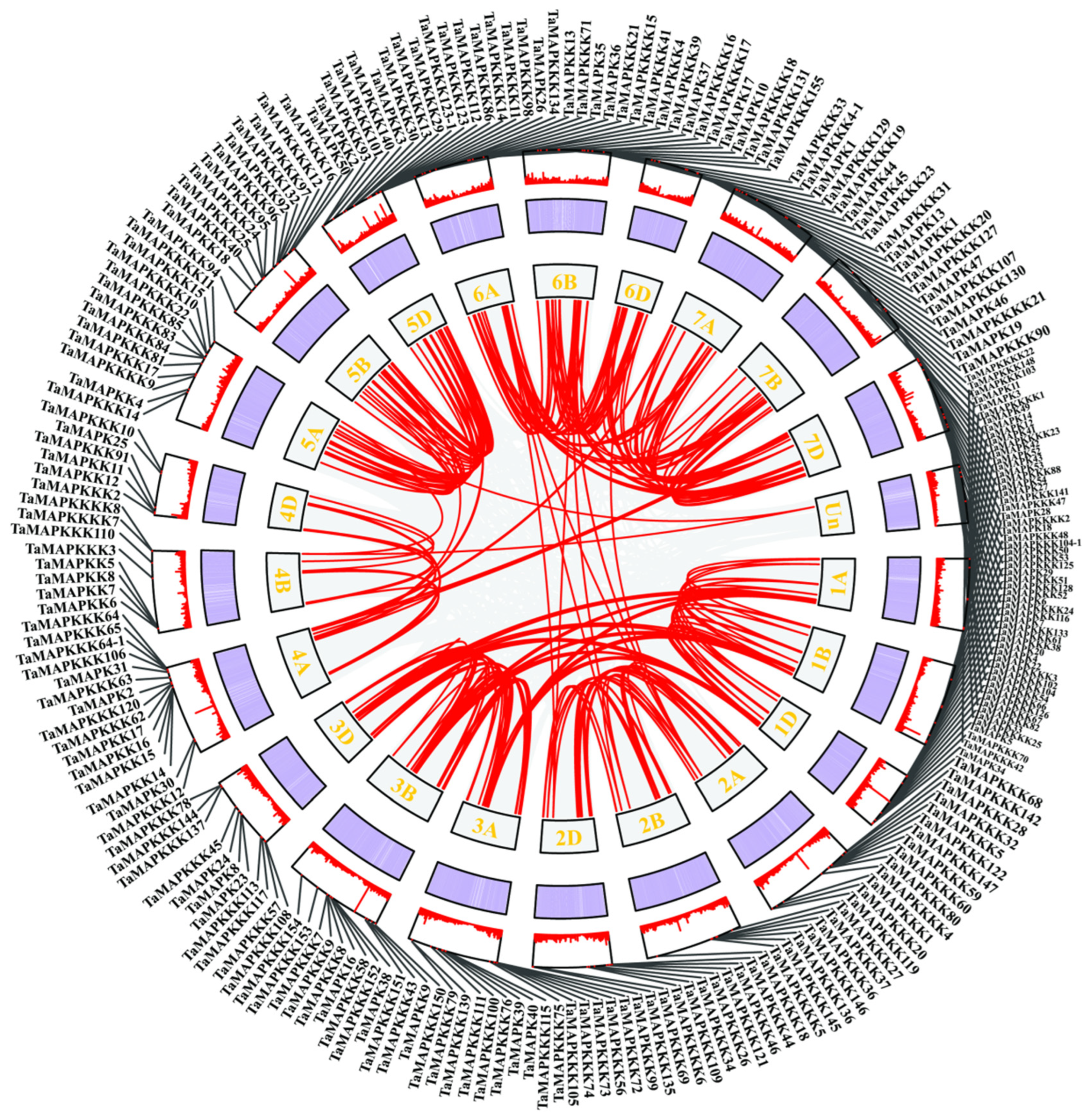 Plants 13 00941 g002