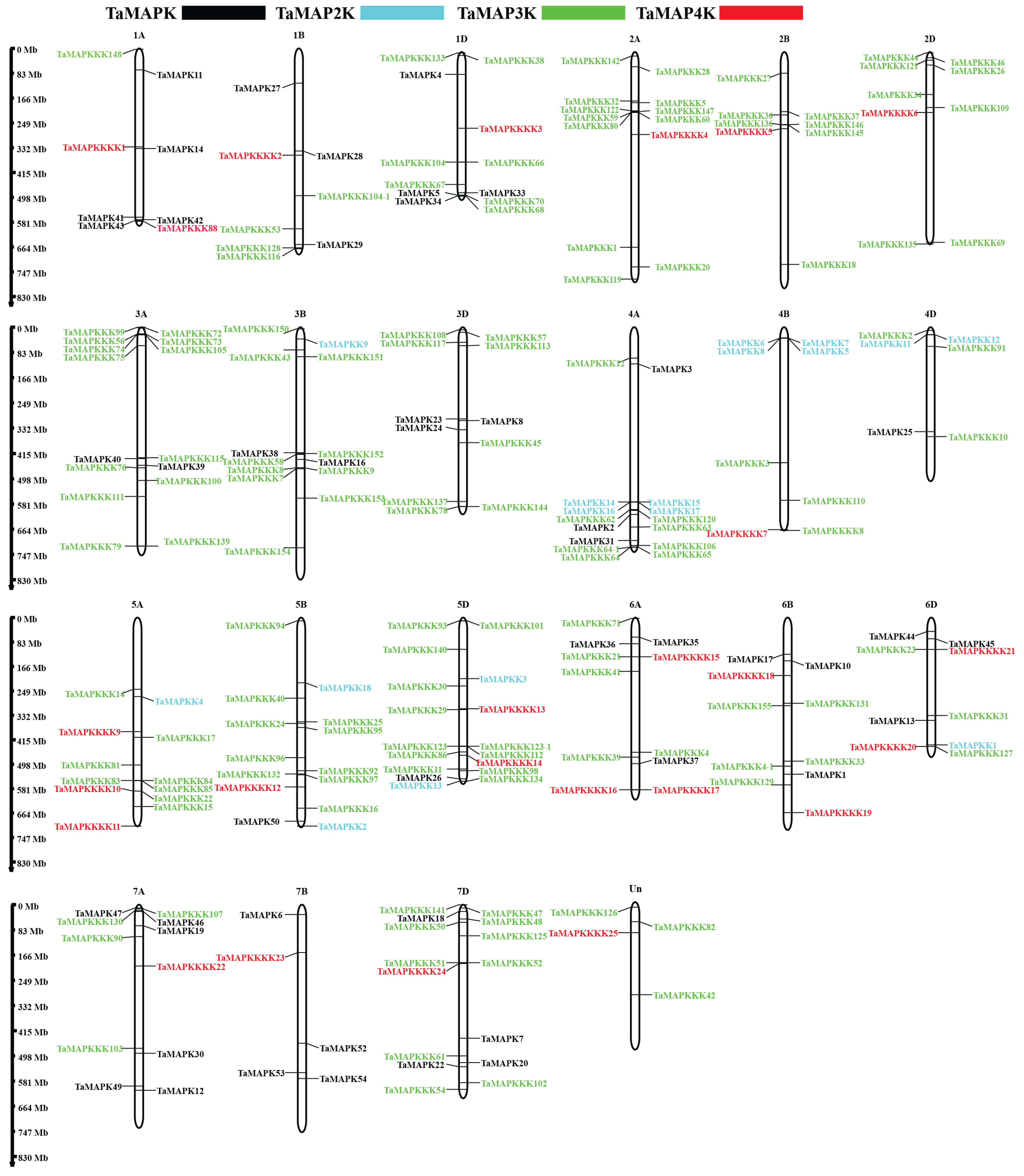 Plants 13 00941 g003