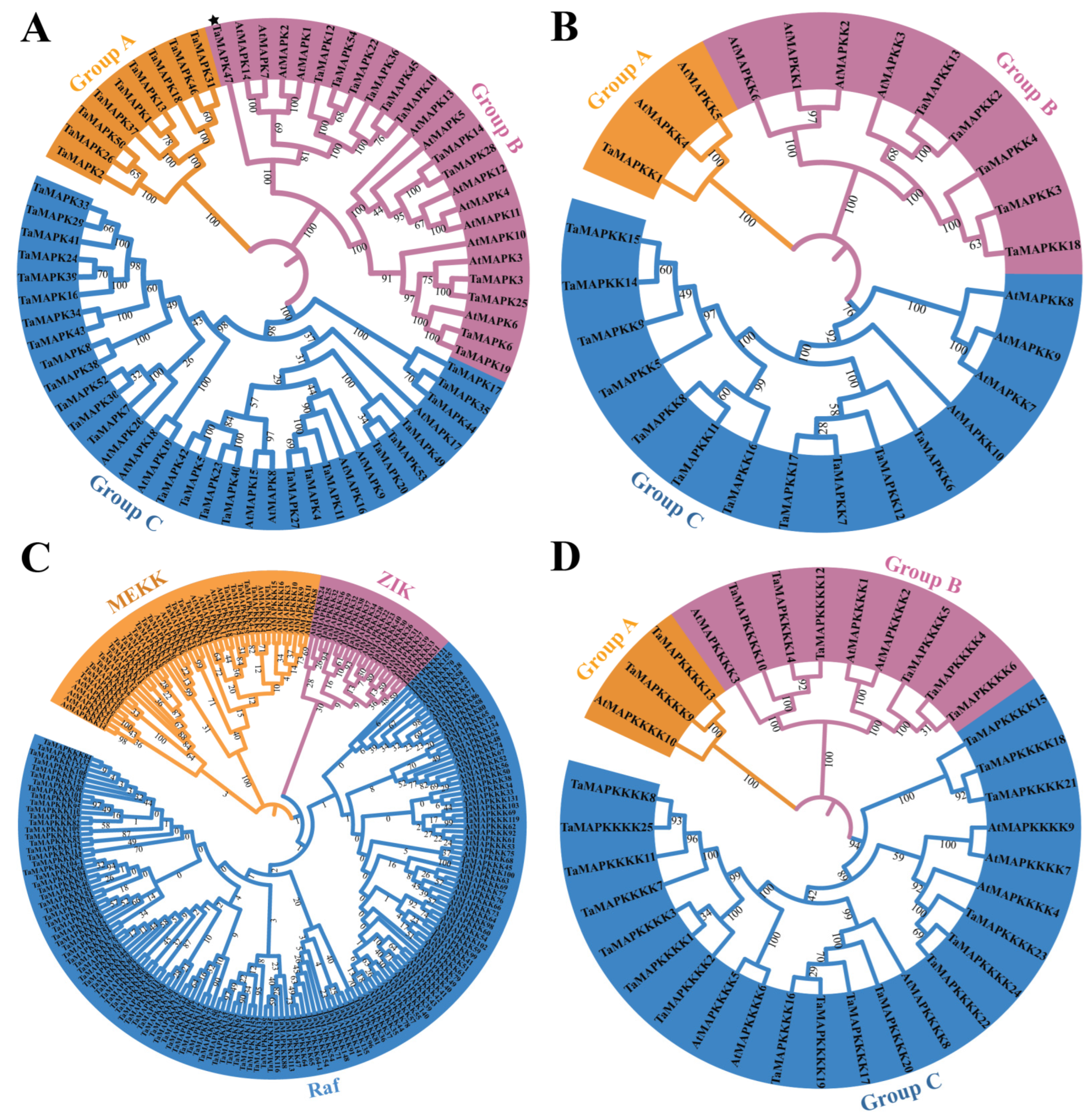 Plants 13 00941 g004