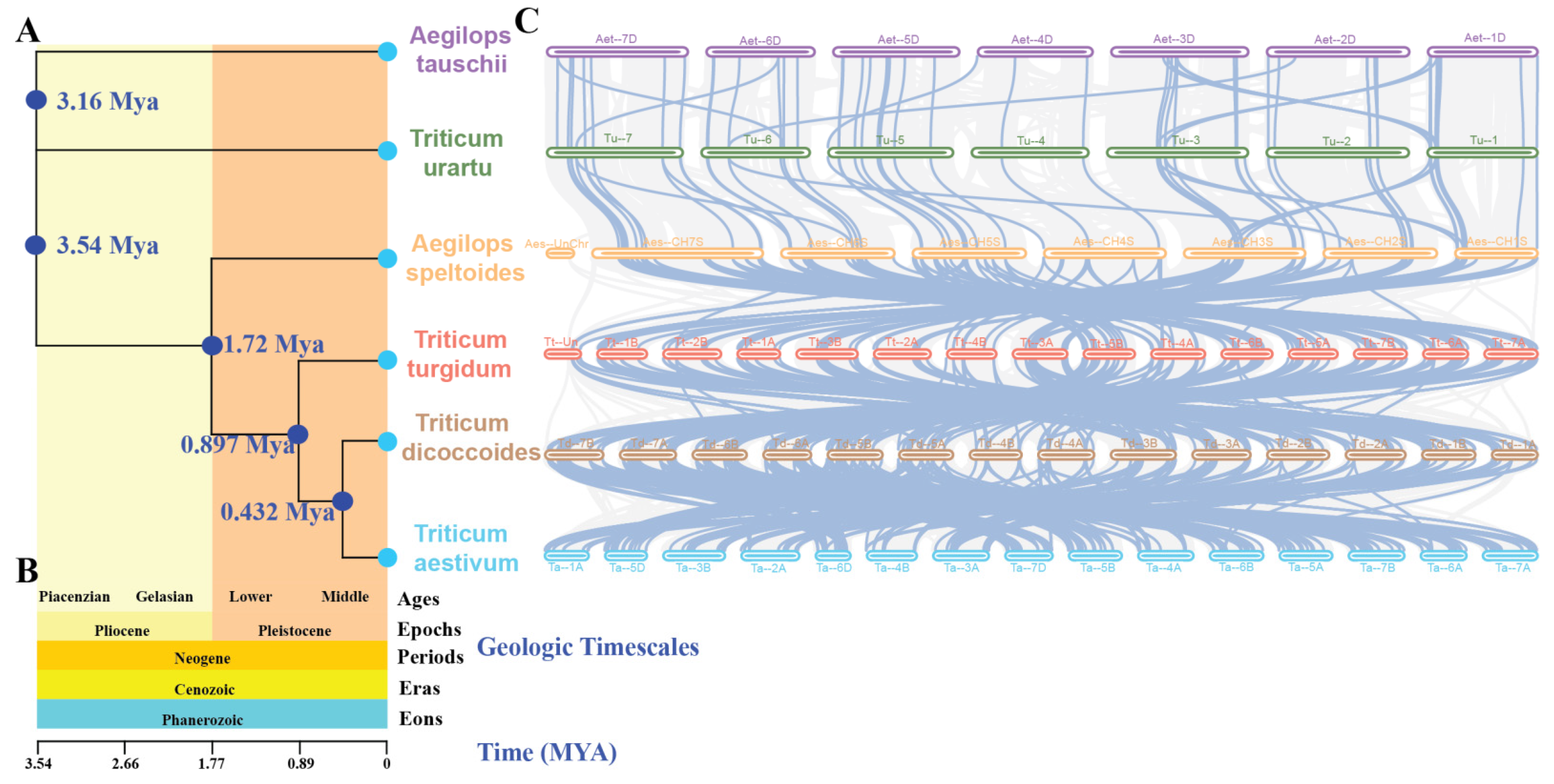 Plants 13 00941 g005