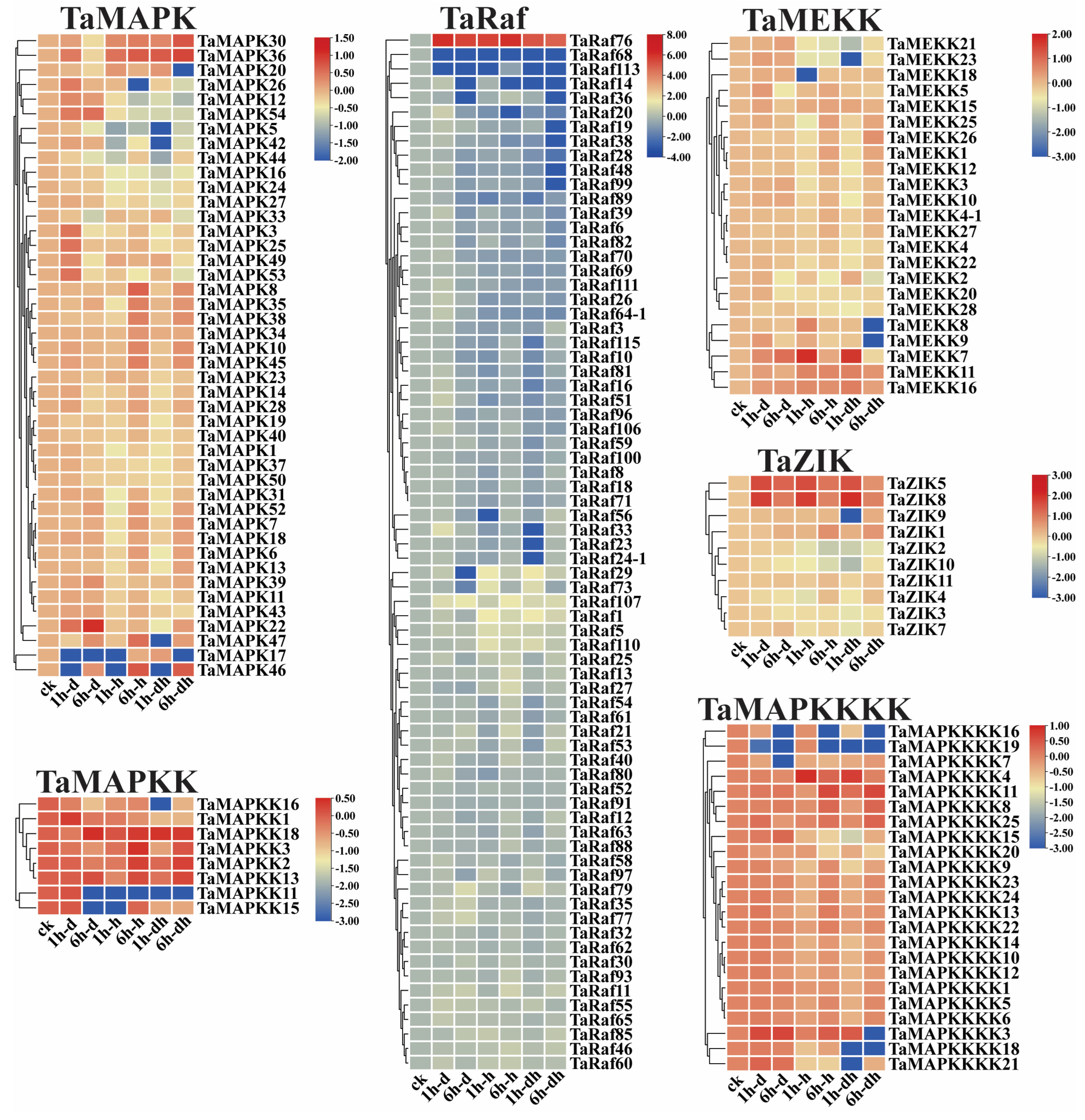 Plants 13 00941 g008