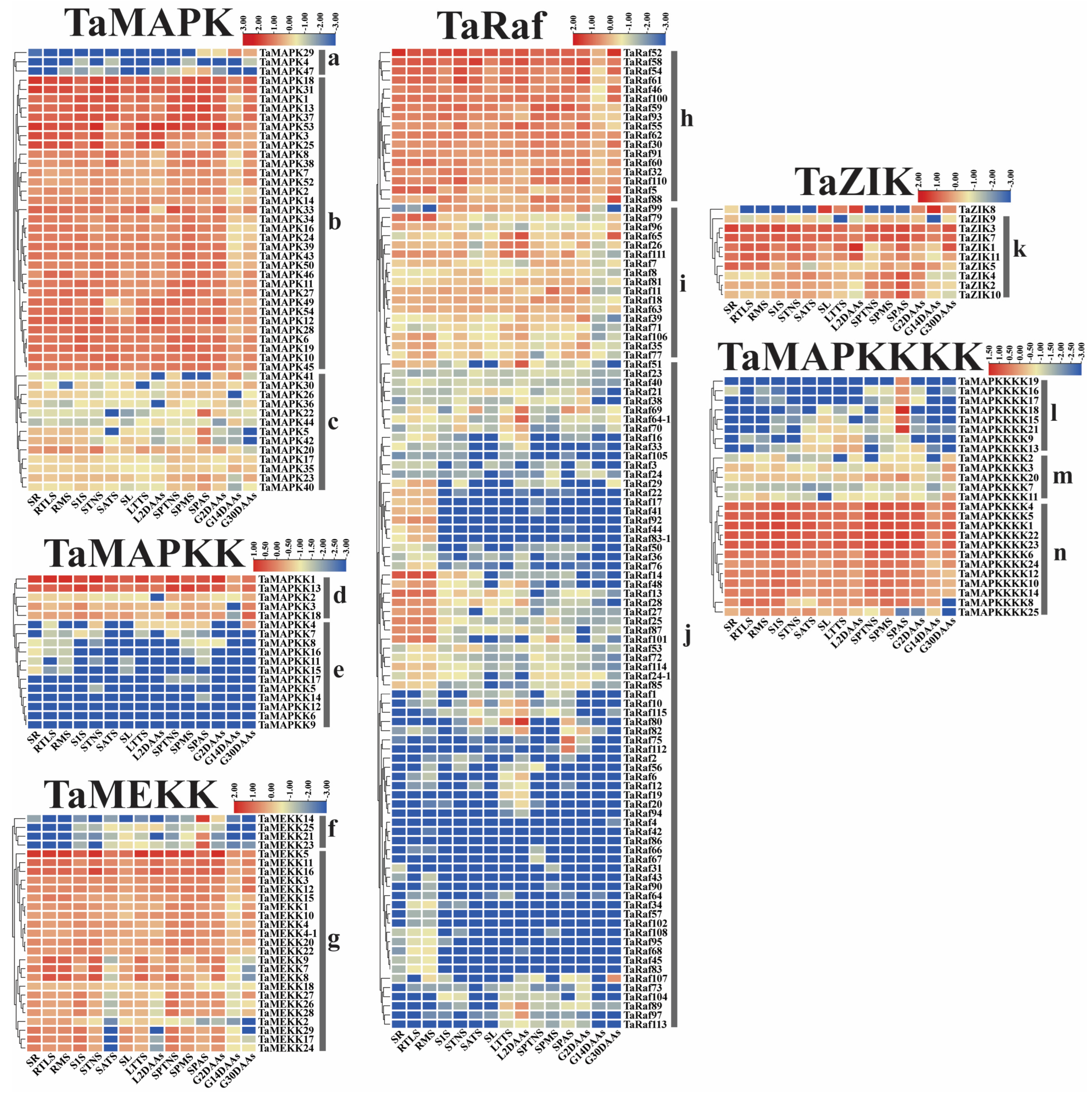 Plants 13 00941 g009