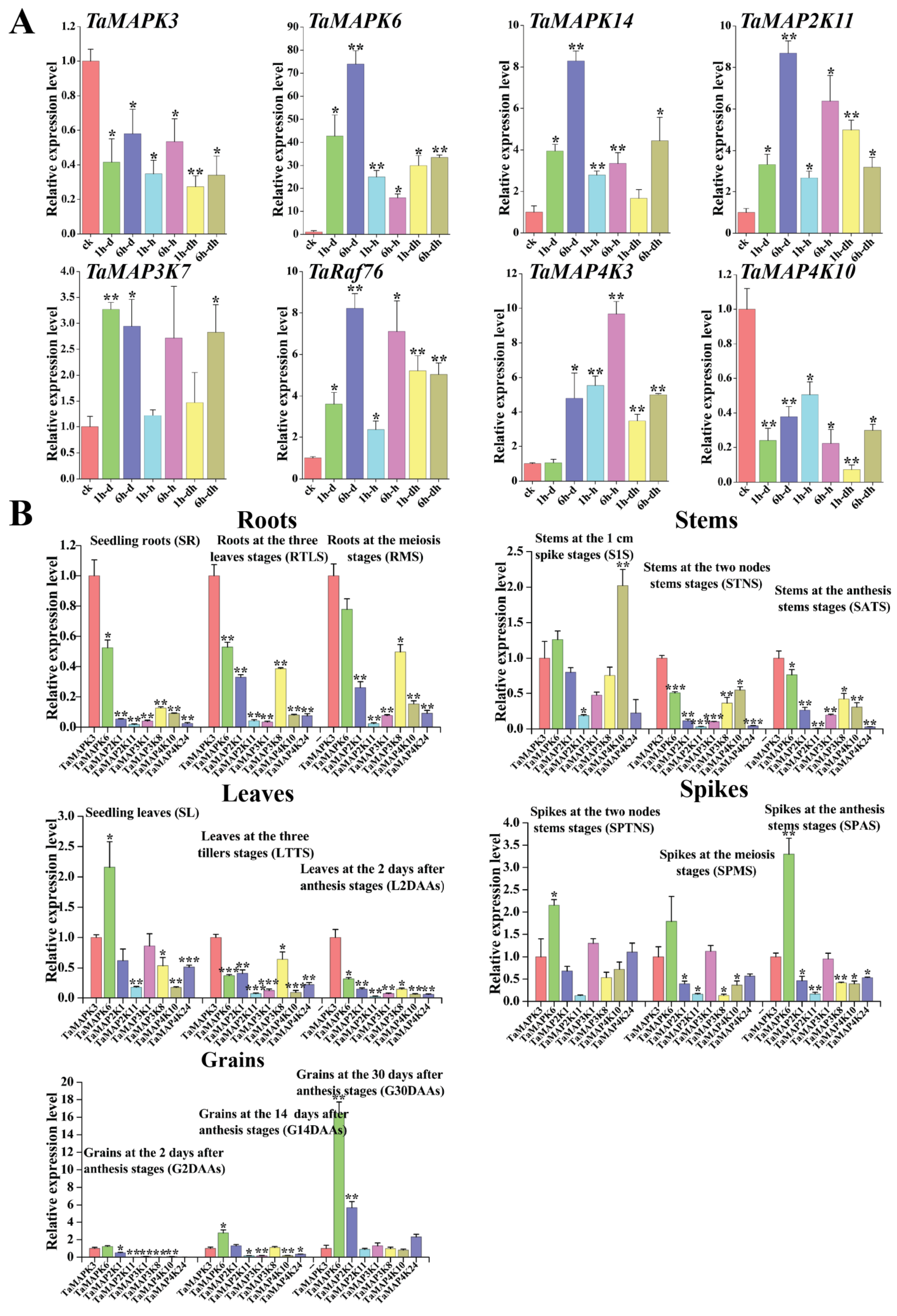 Plants 13 00941 g010