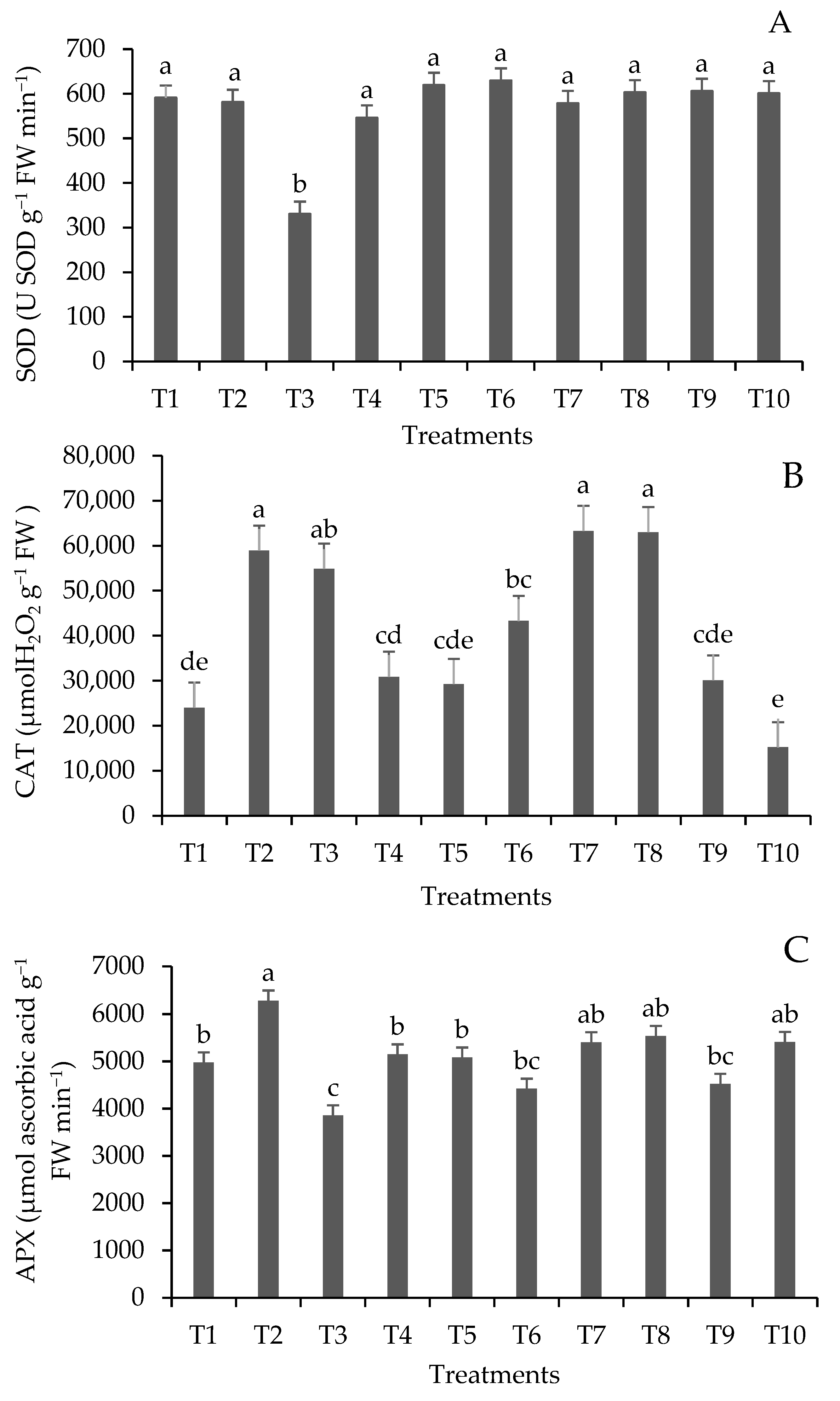 Plants 13 00944 g001