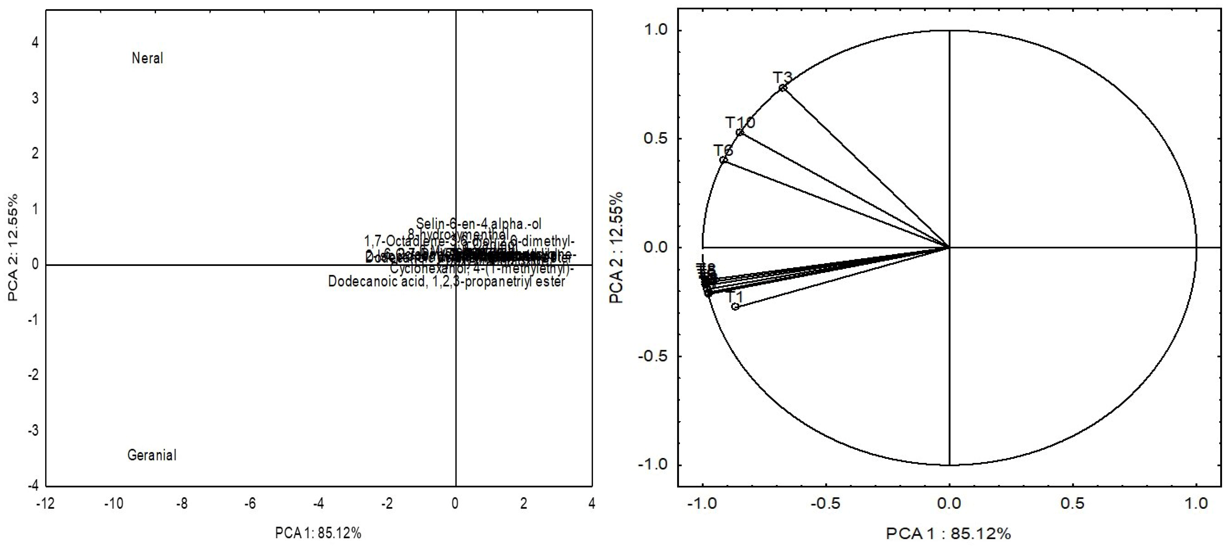 Plants 13 00944 g004