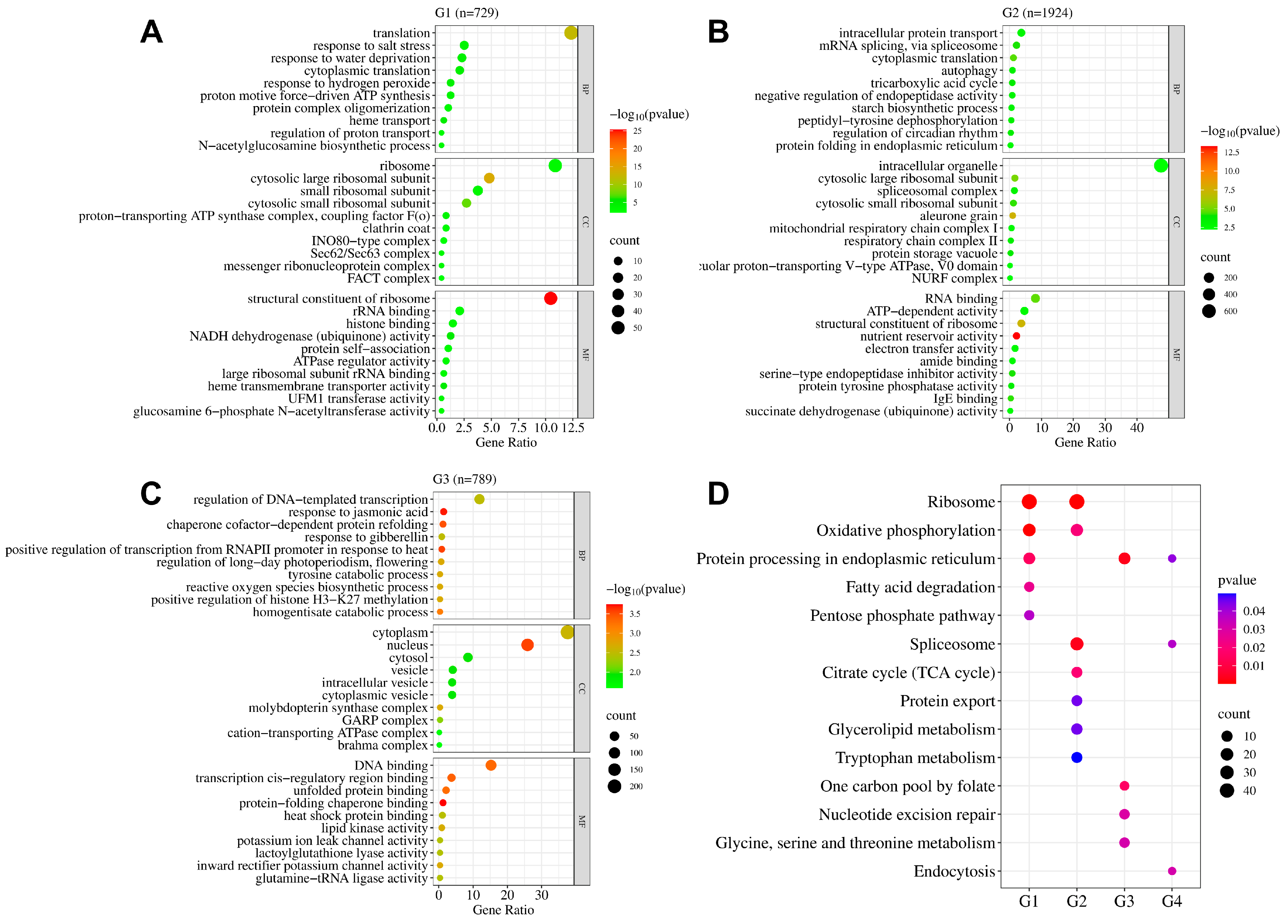 Plants 13 00945 g003