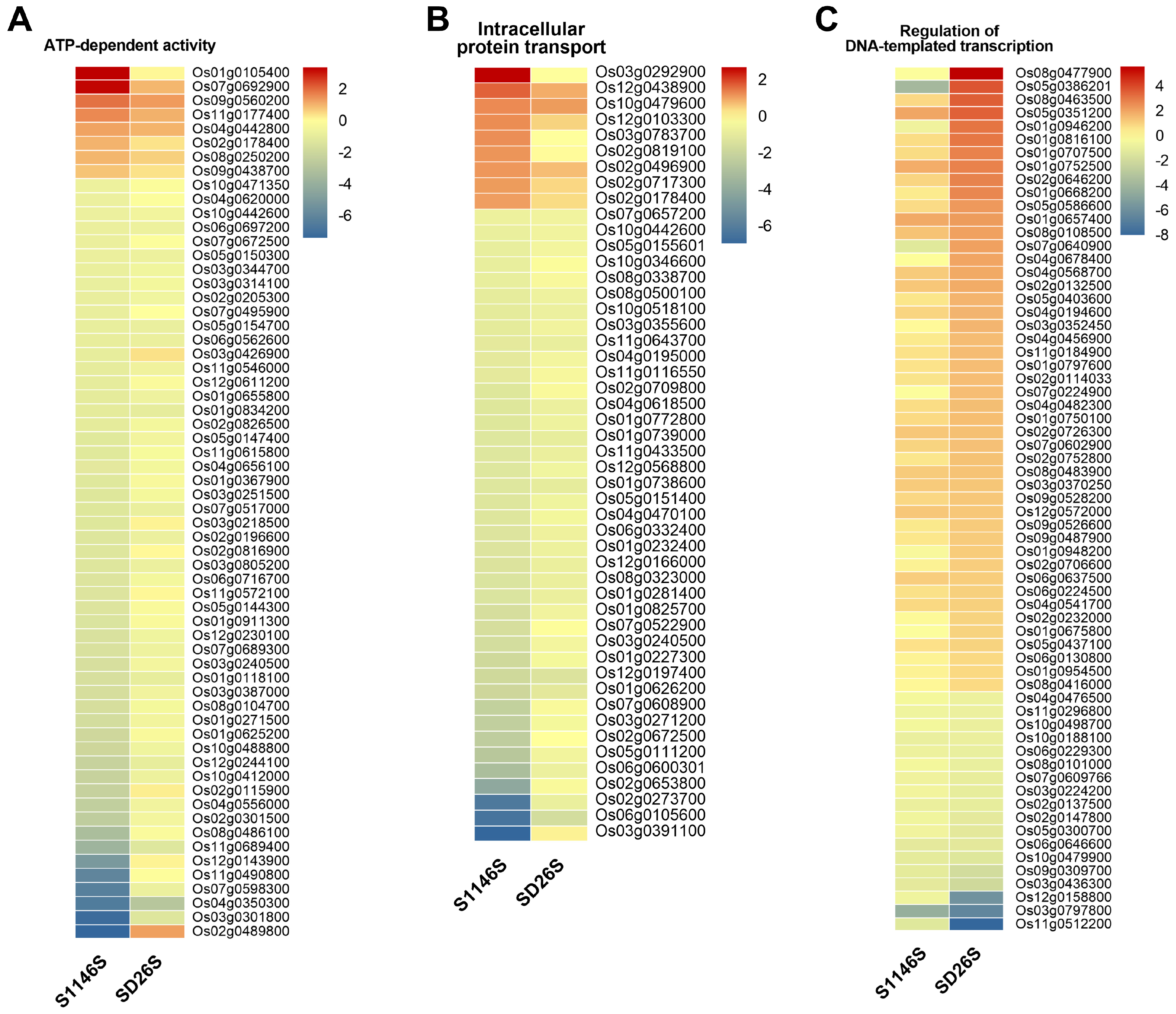 Plants 13 00945 g004