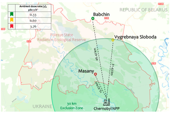 Plants 13 00947 g001