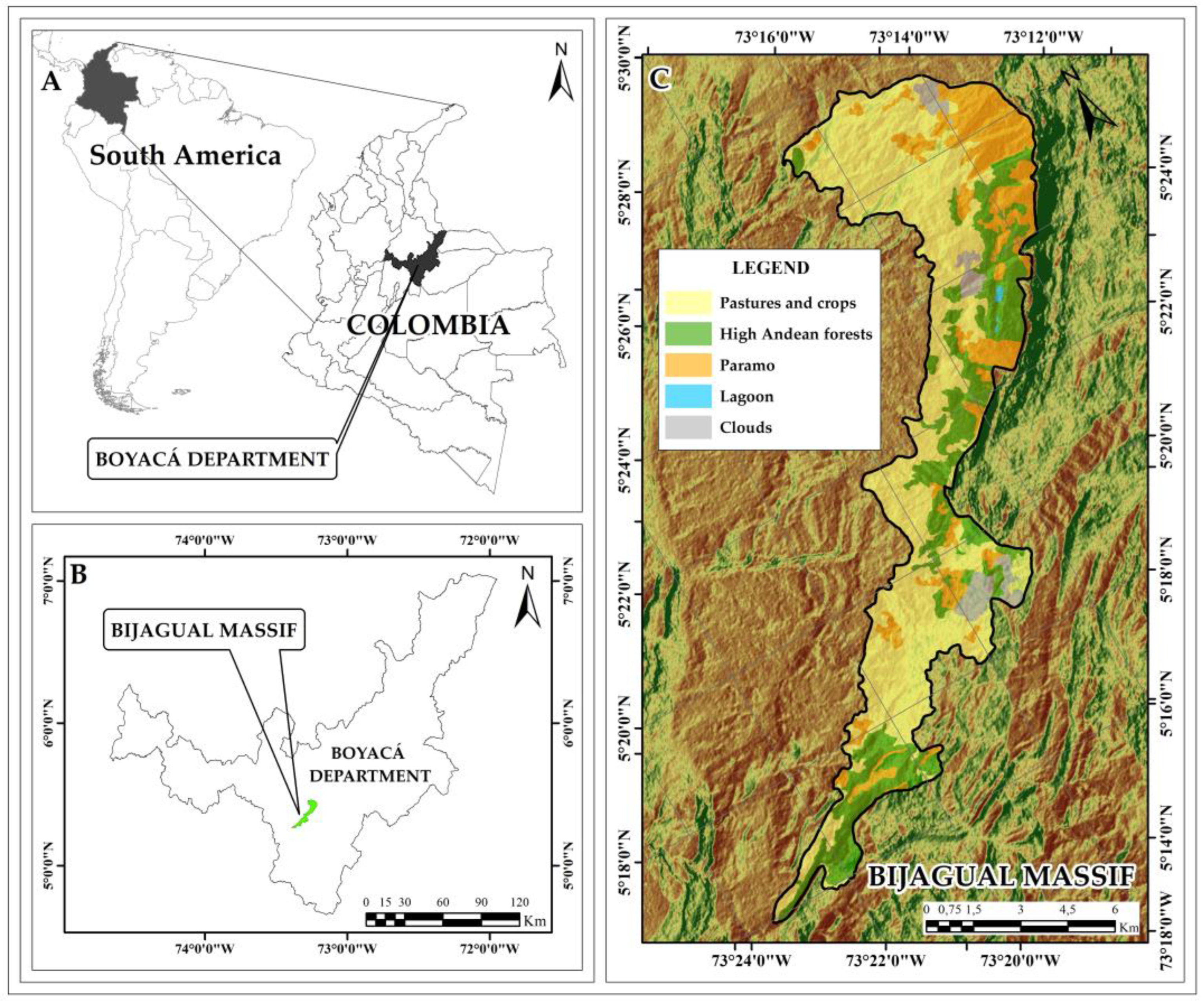Plants 13 00948 g006