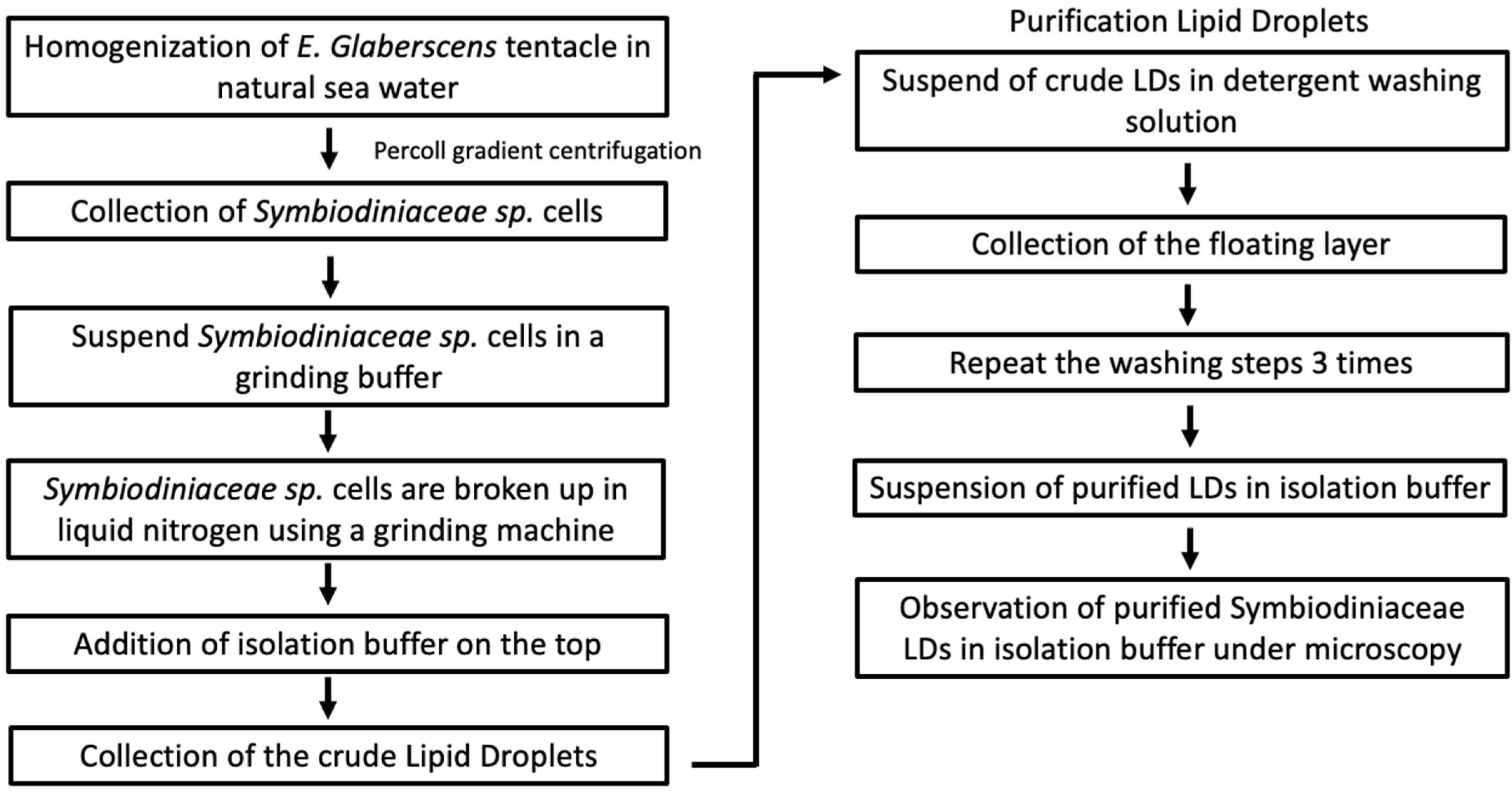 Plants 13 00949 g003