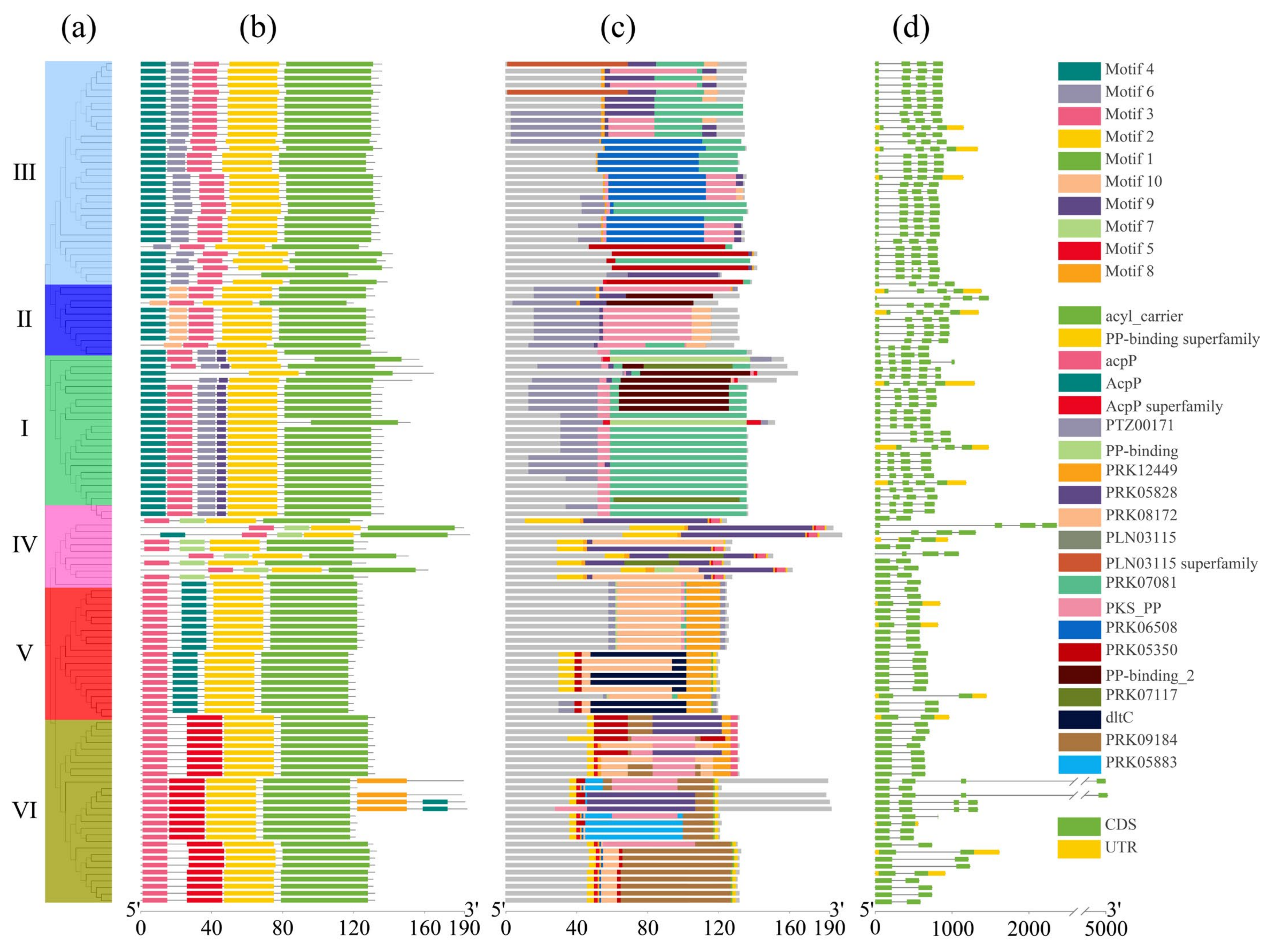 Plants 13 00950 g003