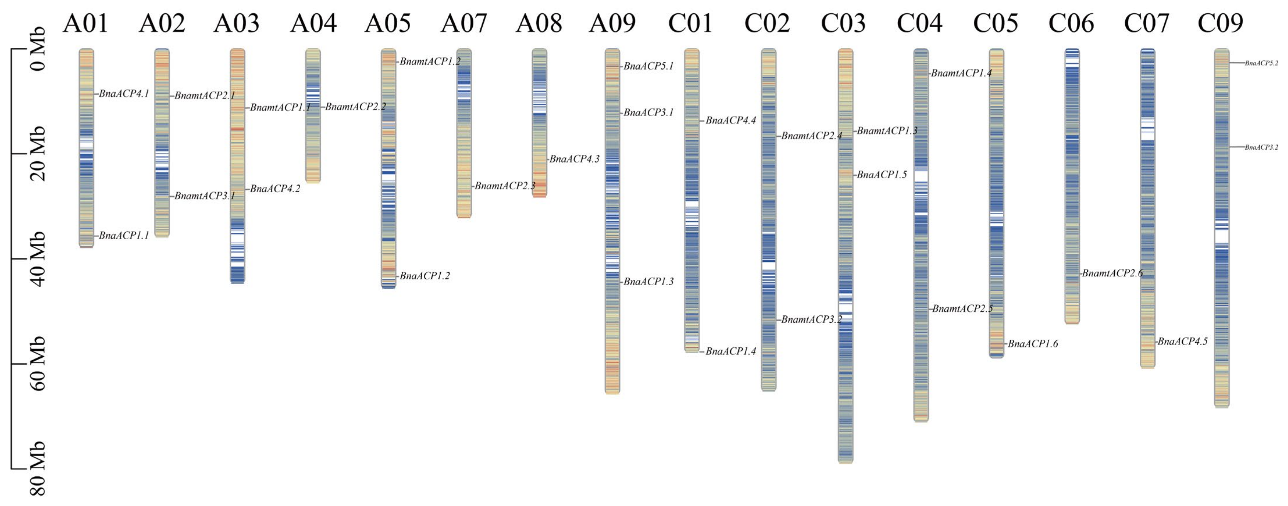 Plants 13 00950 g004