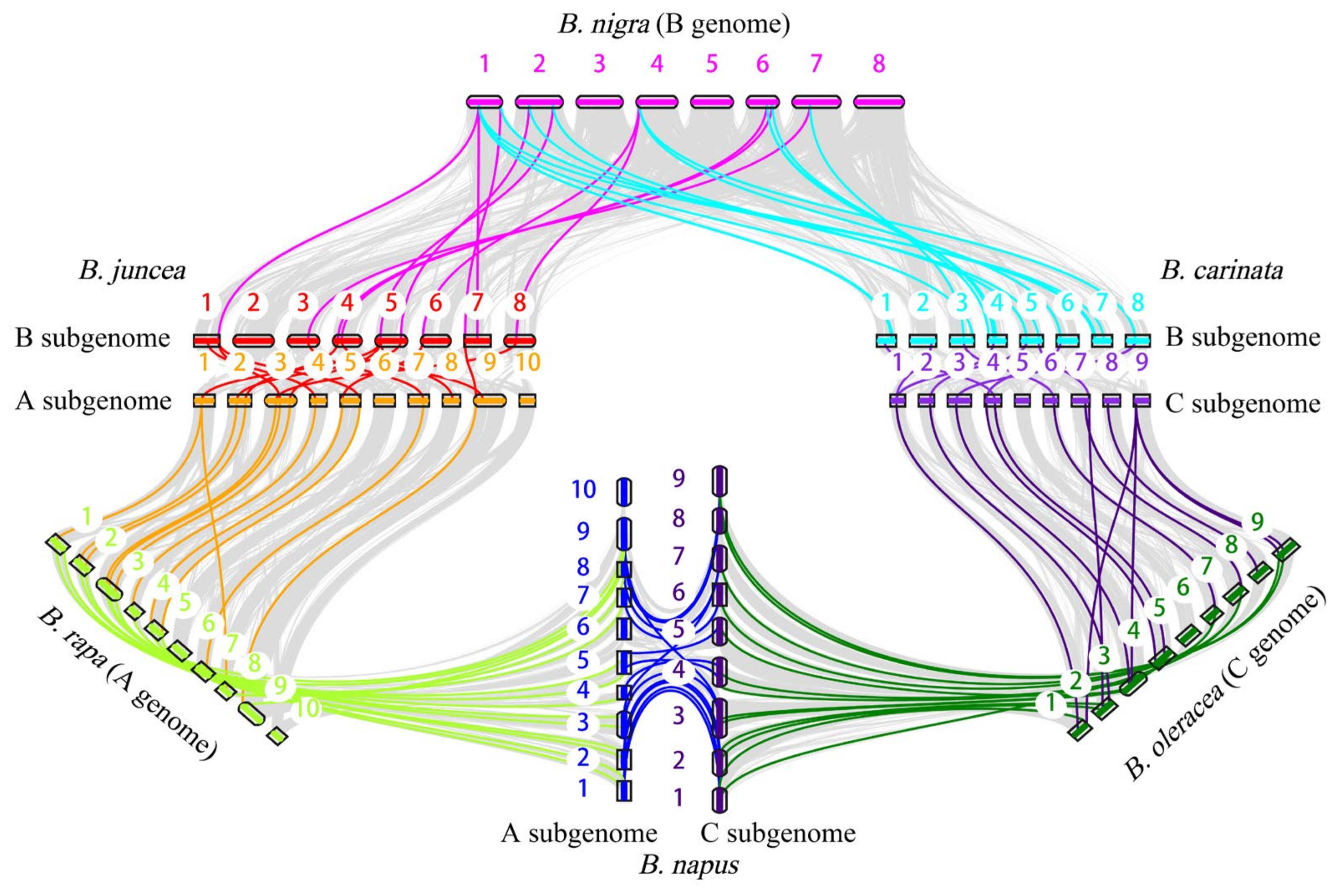 Plants 13 00950 g006