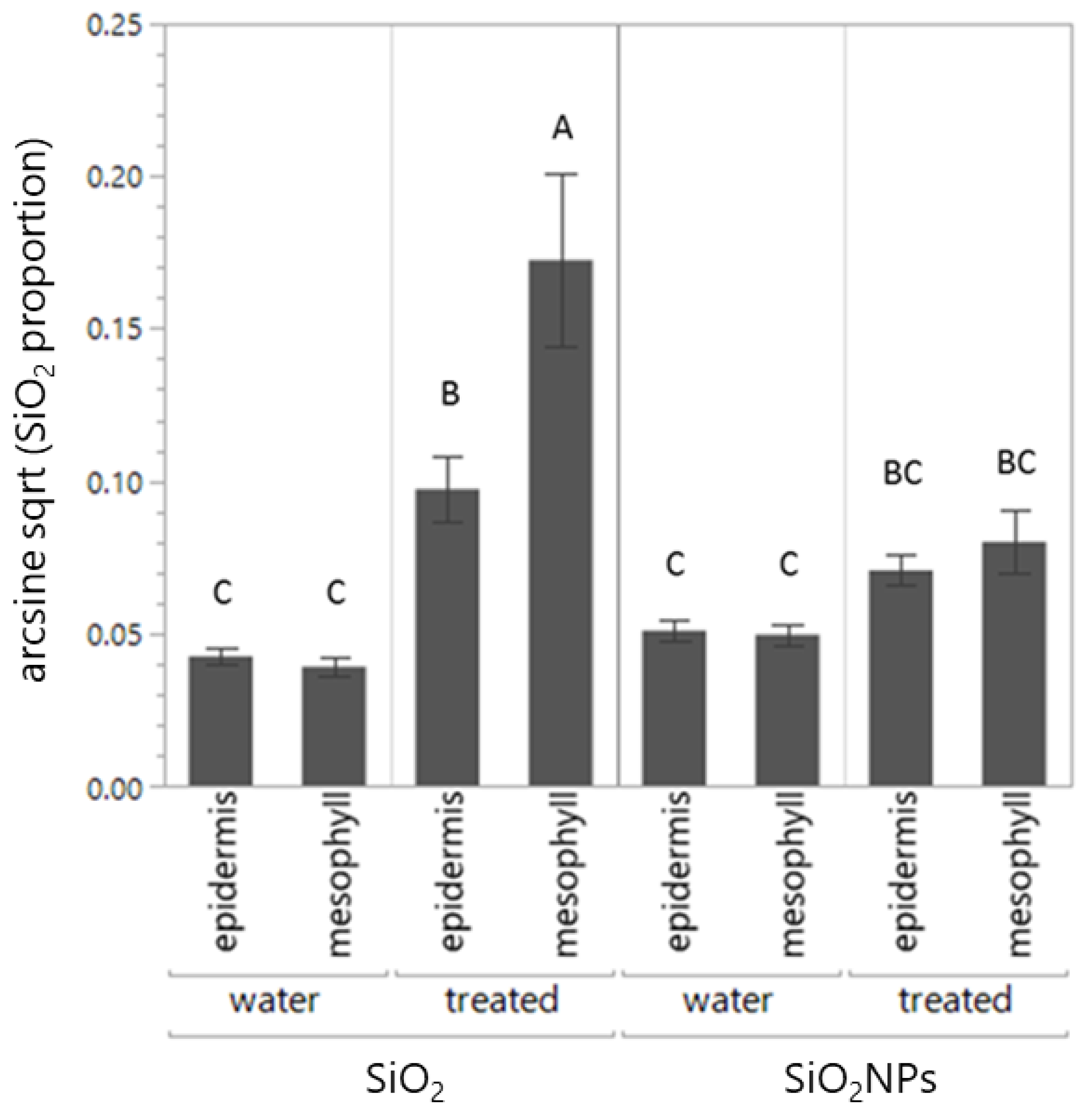 Plants 13 00952 g004