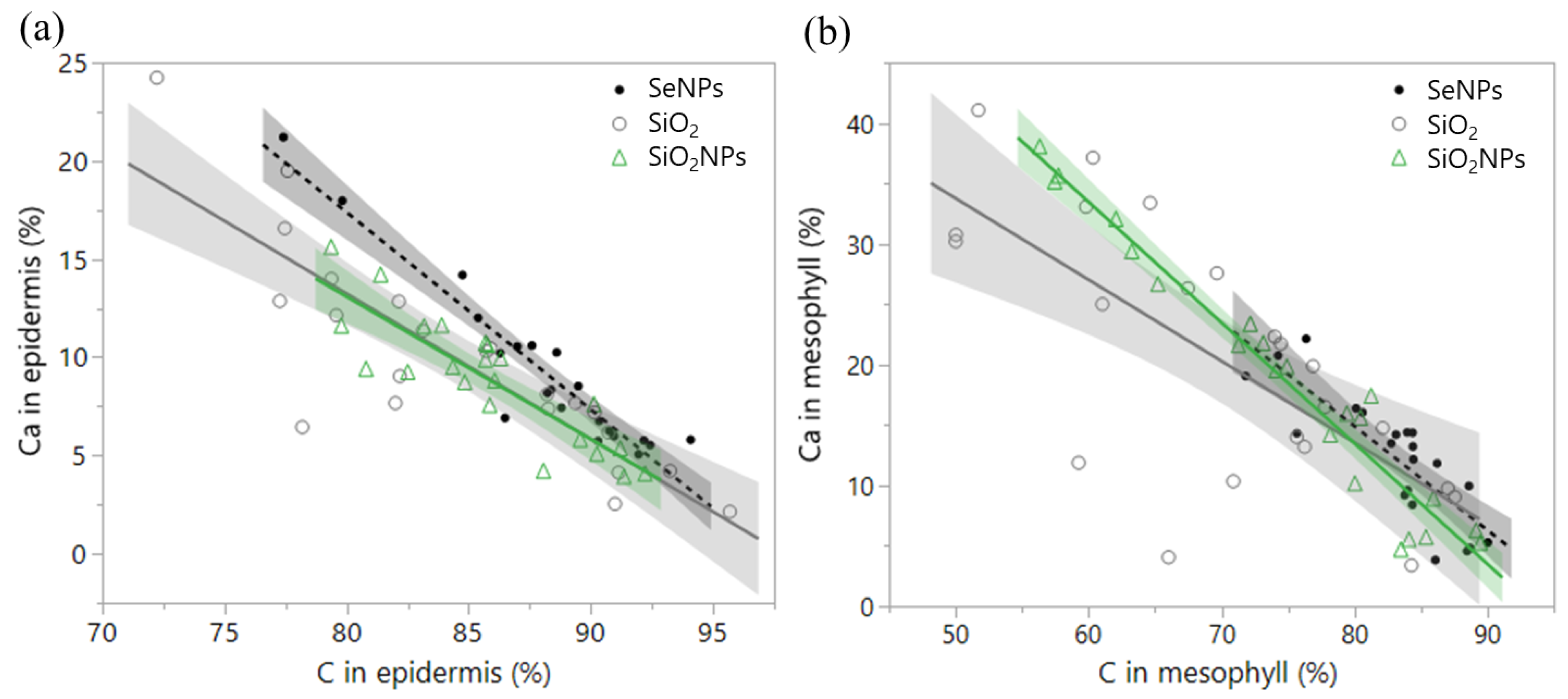 Plants 13 00952 g0a2
