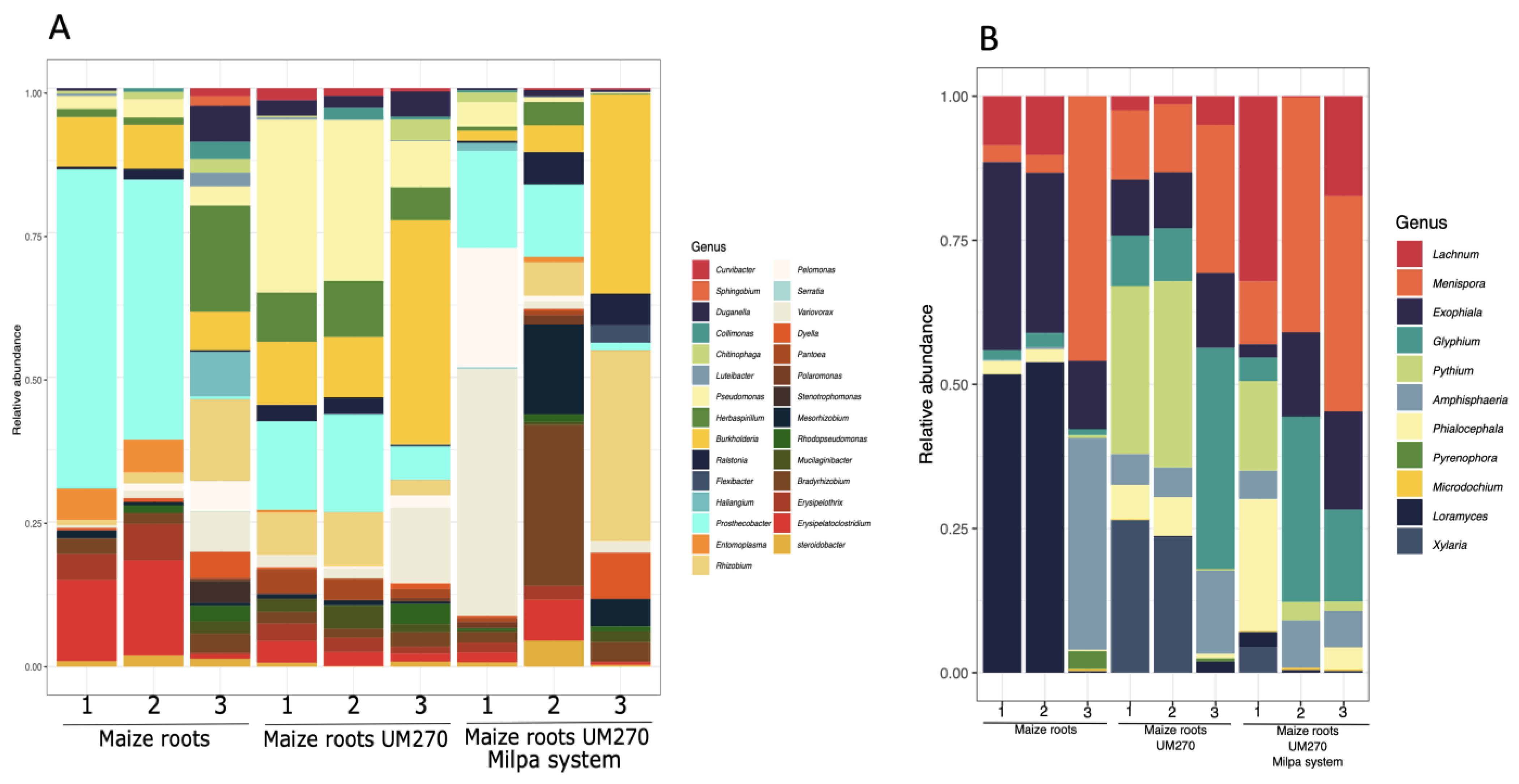 Plants 13 00954 g001