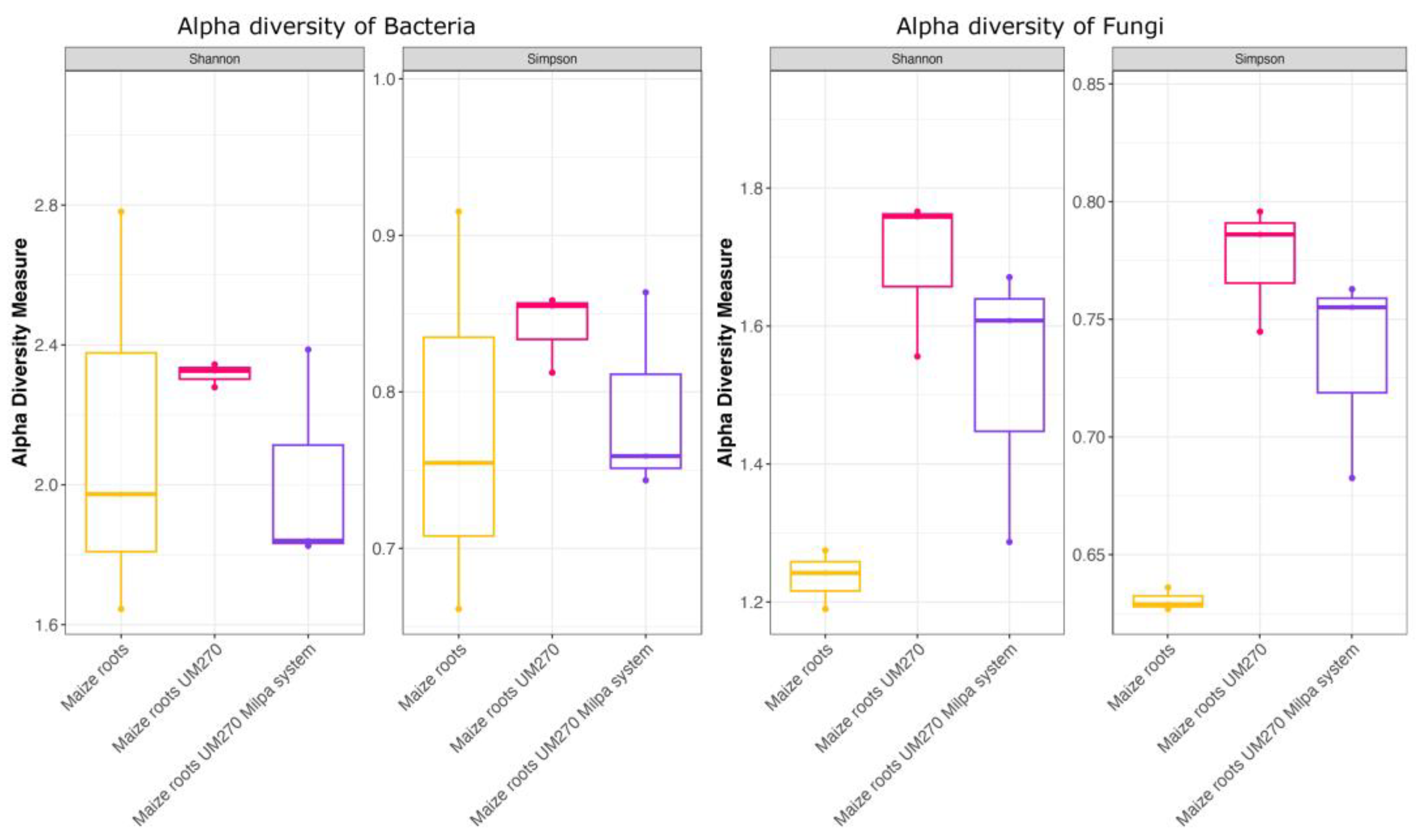 Plants 13 00954 g004
