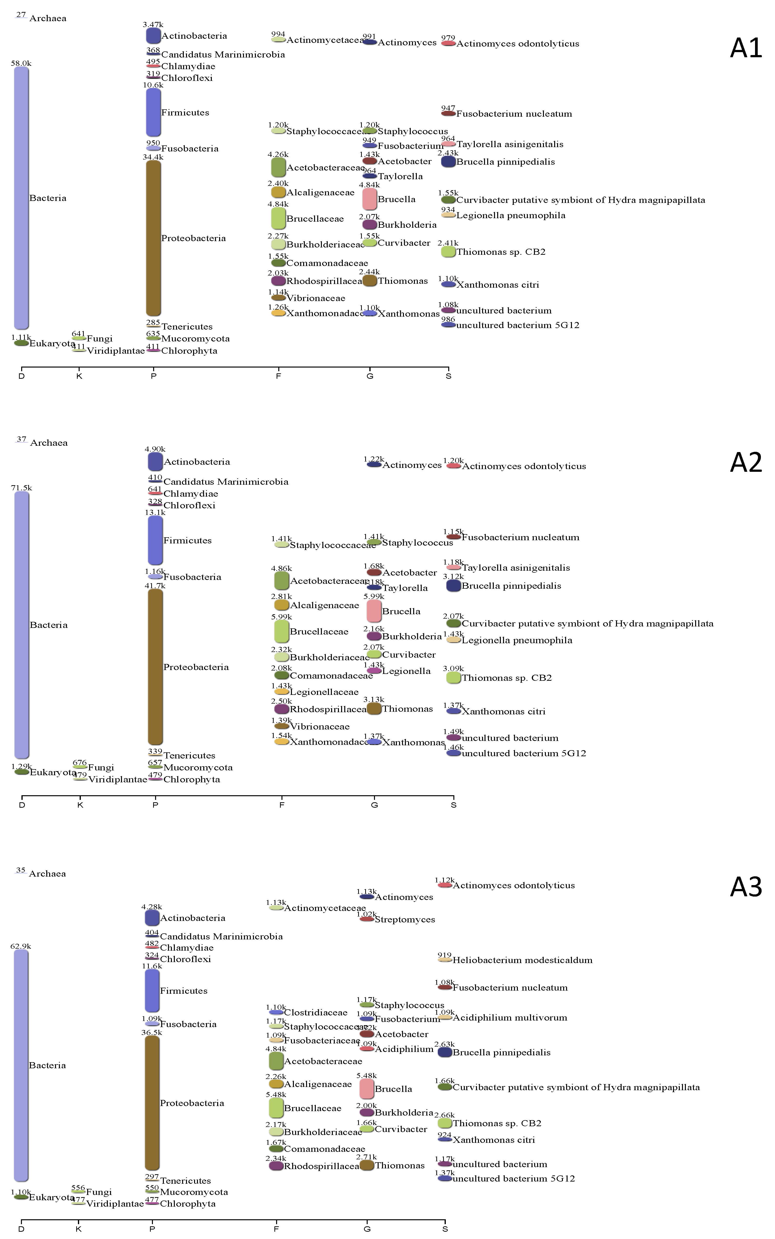 Plants 13 00954 g007