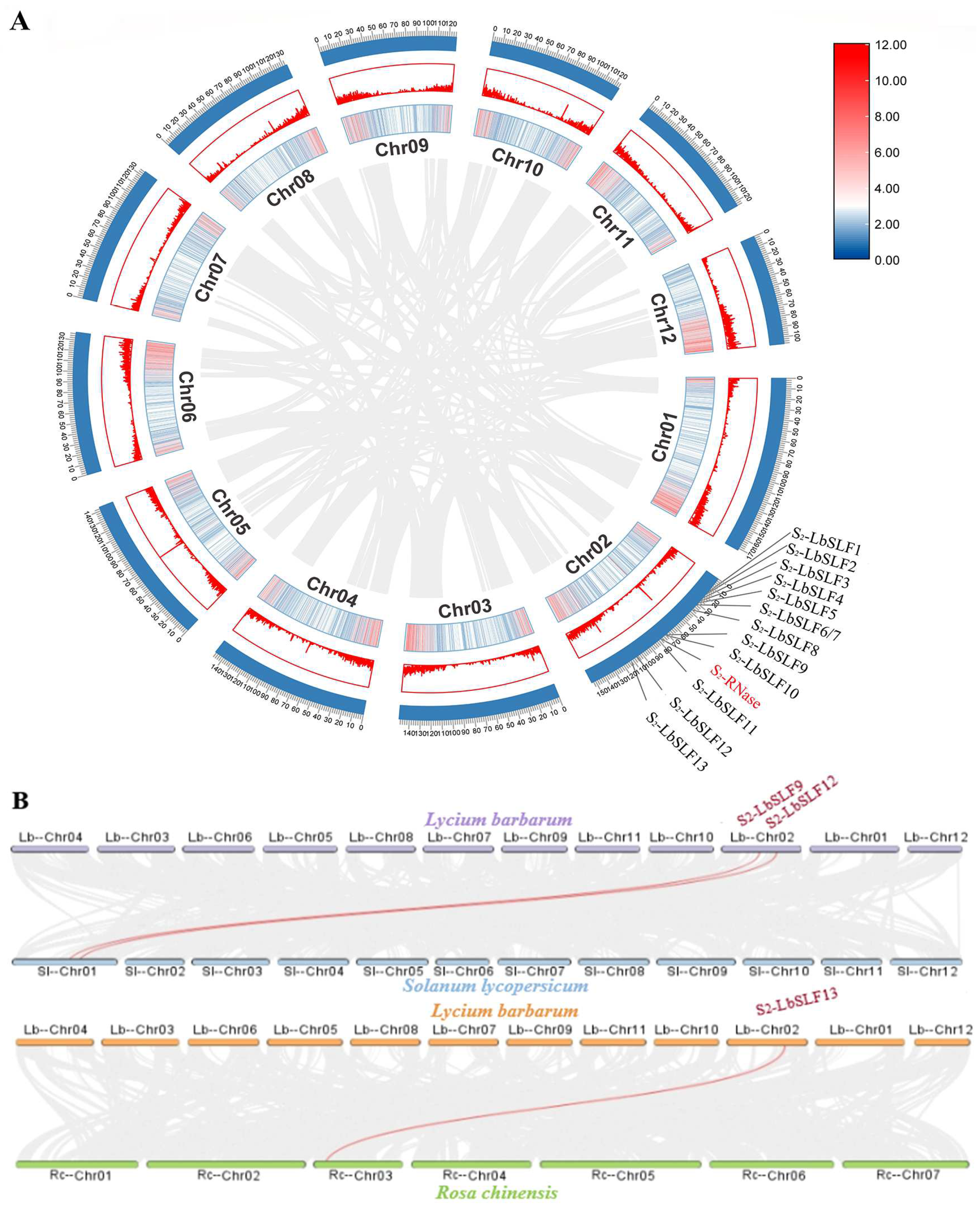 Plants 13 00959 g005