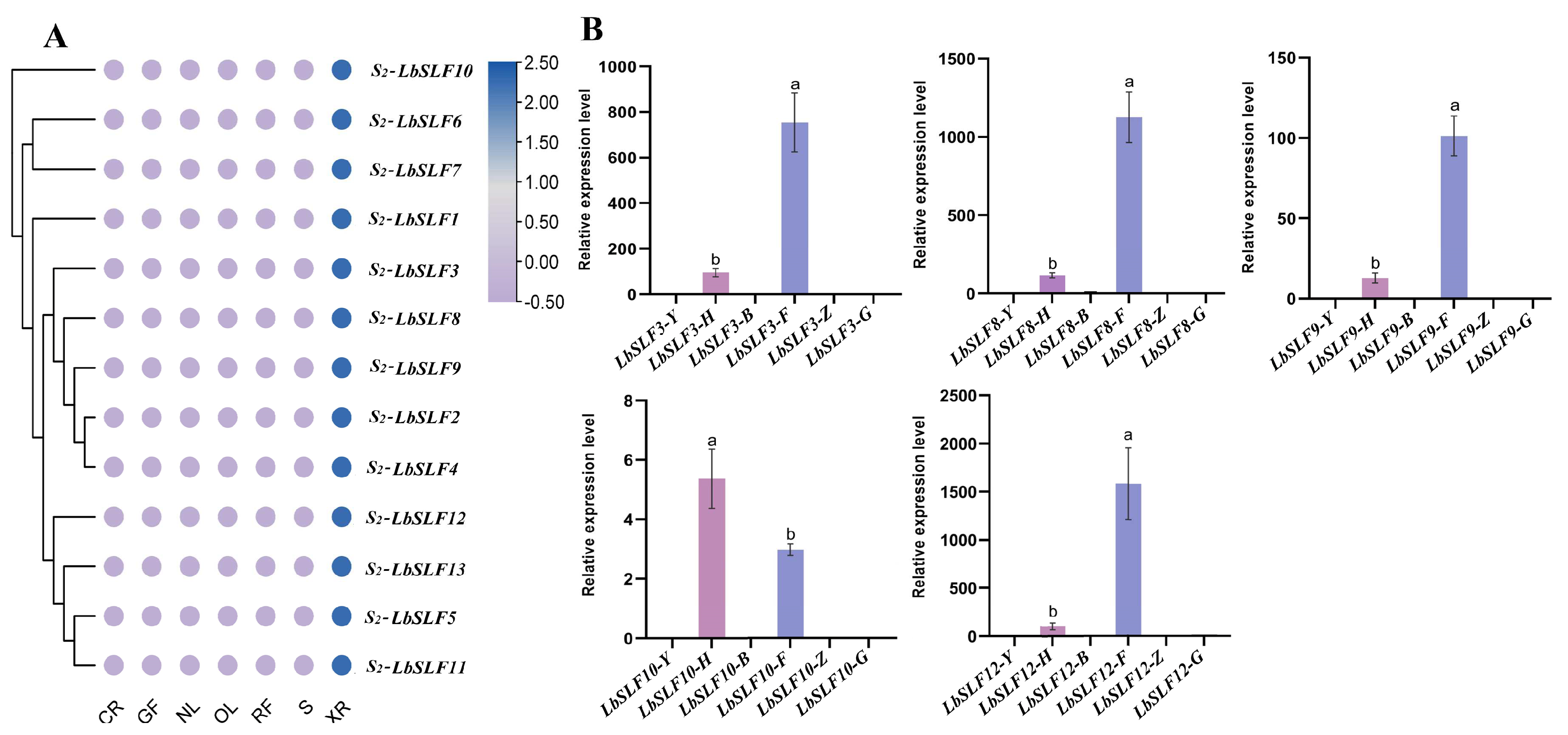 Plants 13 00959 g006