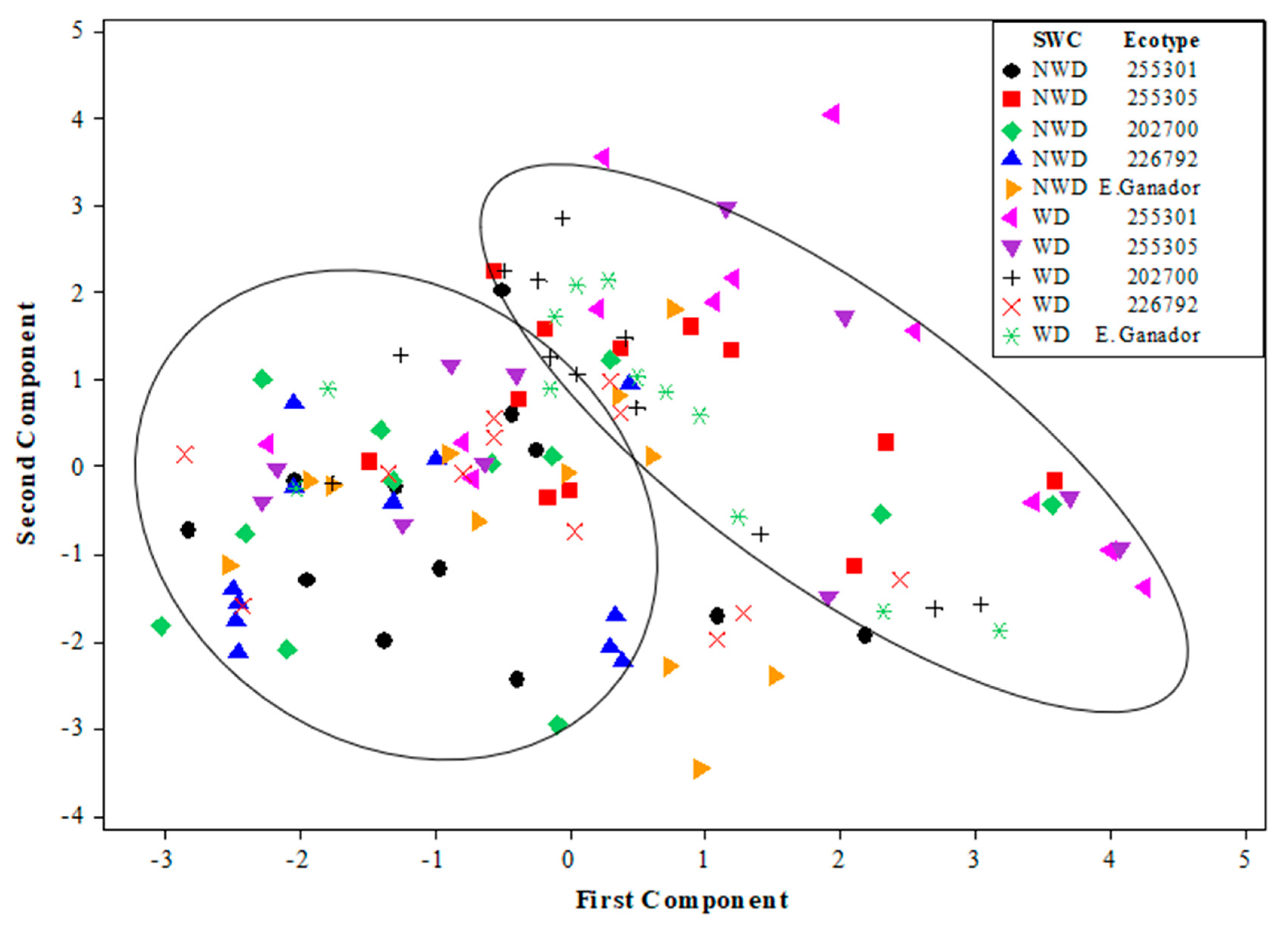 Plants 13 00961 g008