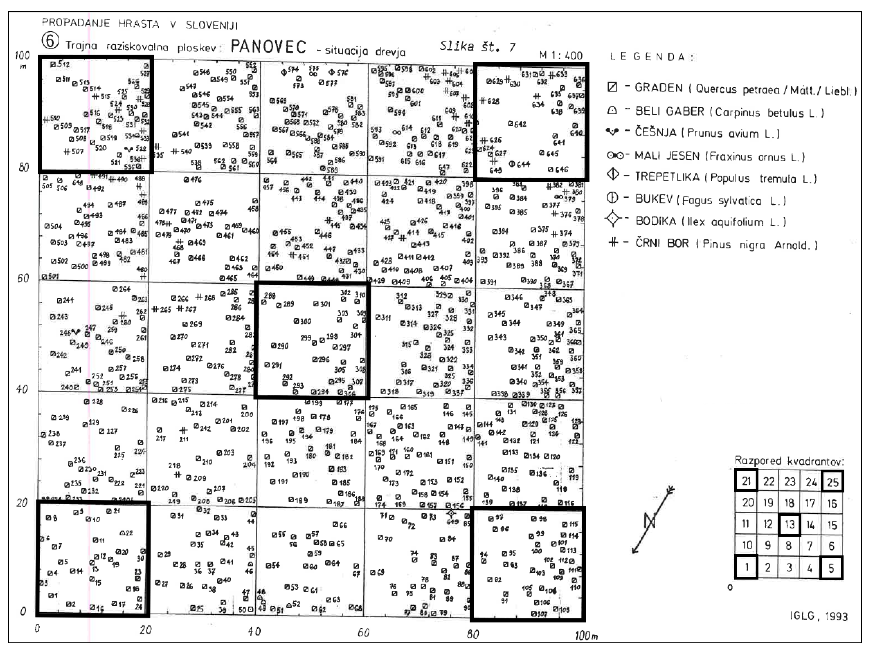 Plants 13 00962 g008