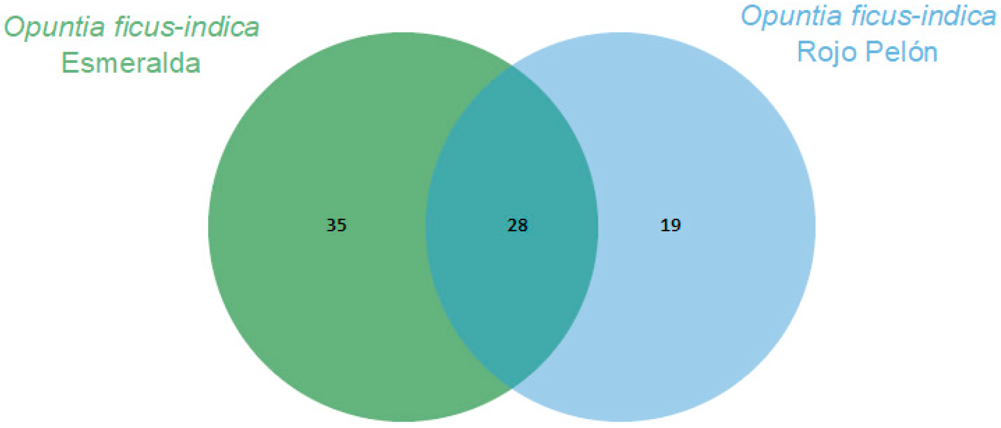 Plants 13 00963 g002